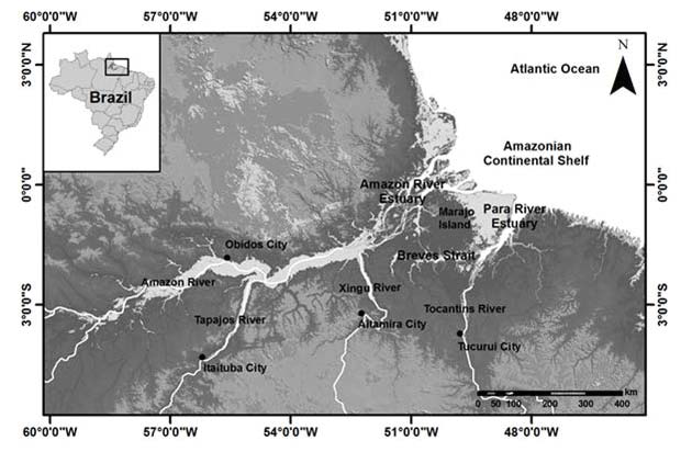 A modelagem hidrodinâmica do Sistema Estuarino do rio Amazonas