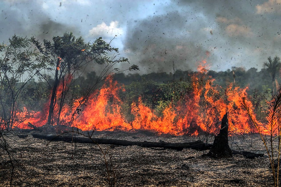 O que o desmatamento na Amazônia pode desencadear?