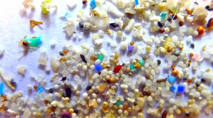 Microplastics and Organisms