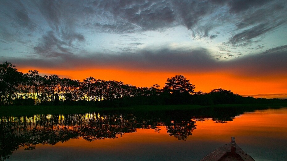 COP 30 e o OCA: a voz da Amazônia Costeira