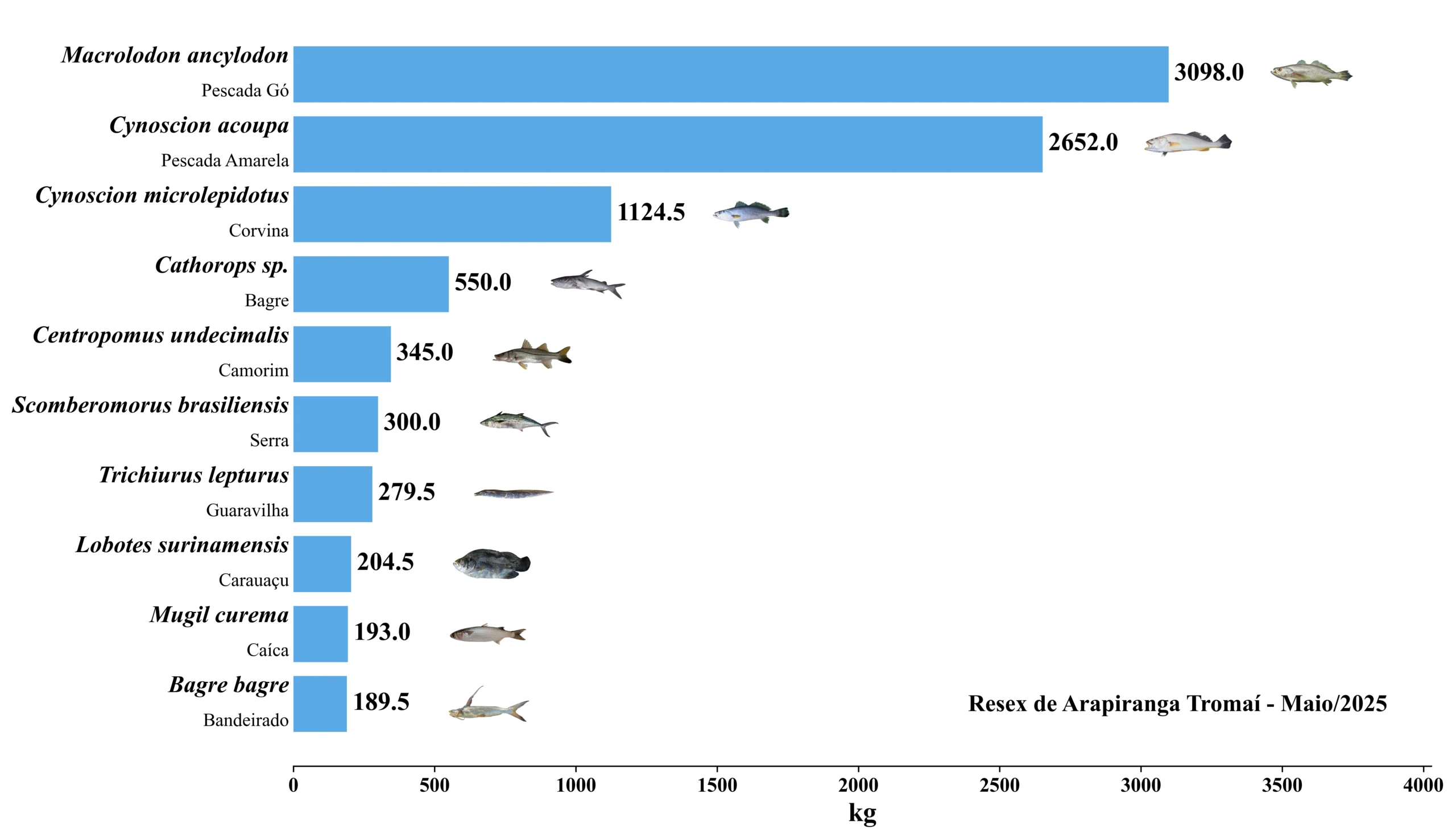 Grafico Resex Arapiranga Tromaí 2025 05