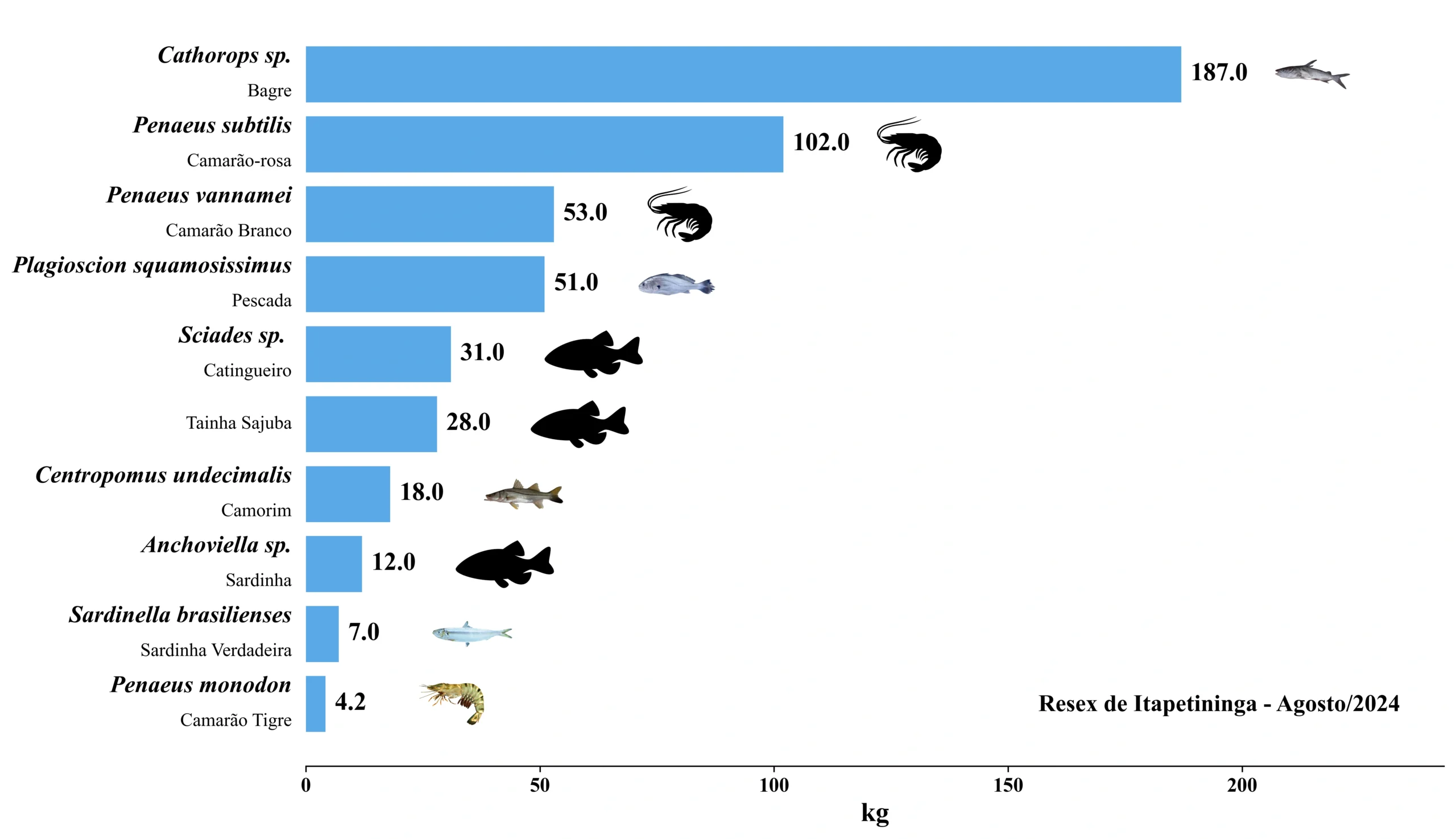 Grafico Resex Itapetininga 2024 08