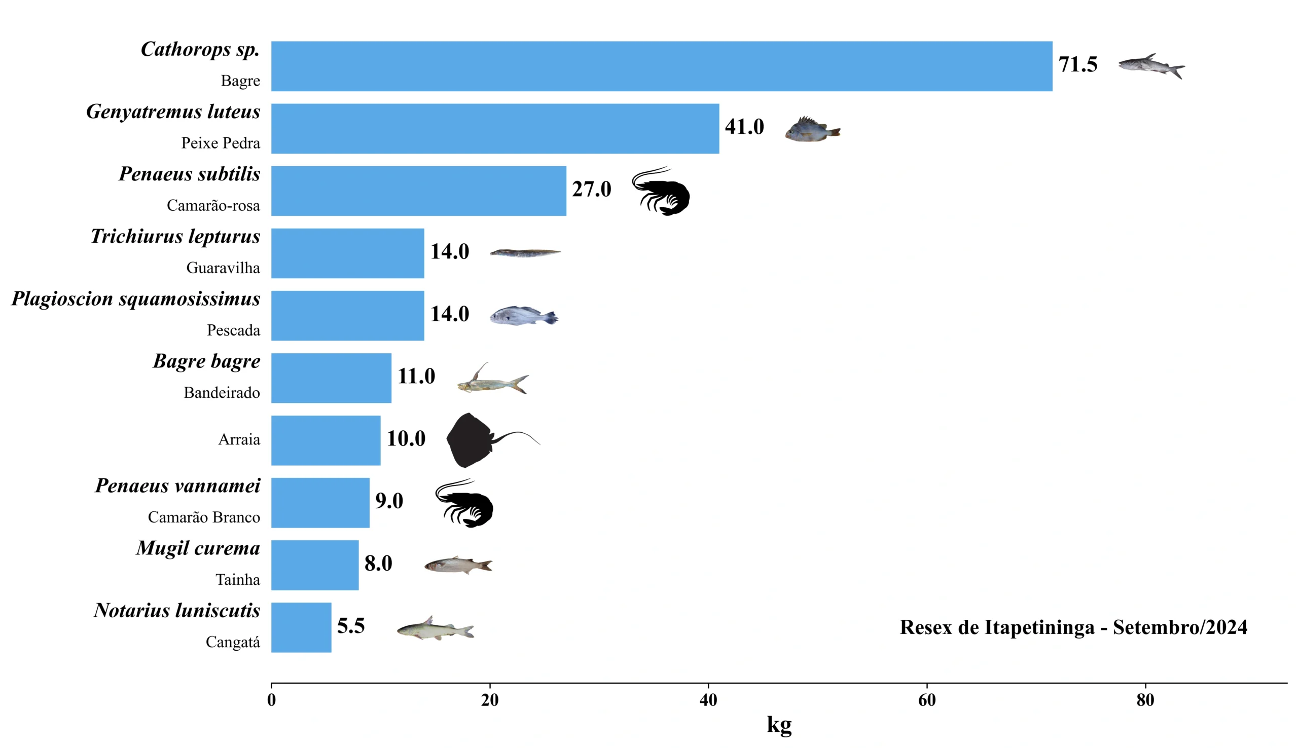 Grafico Resex Itapetininga 2024 09
