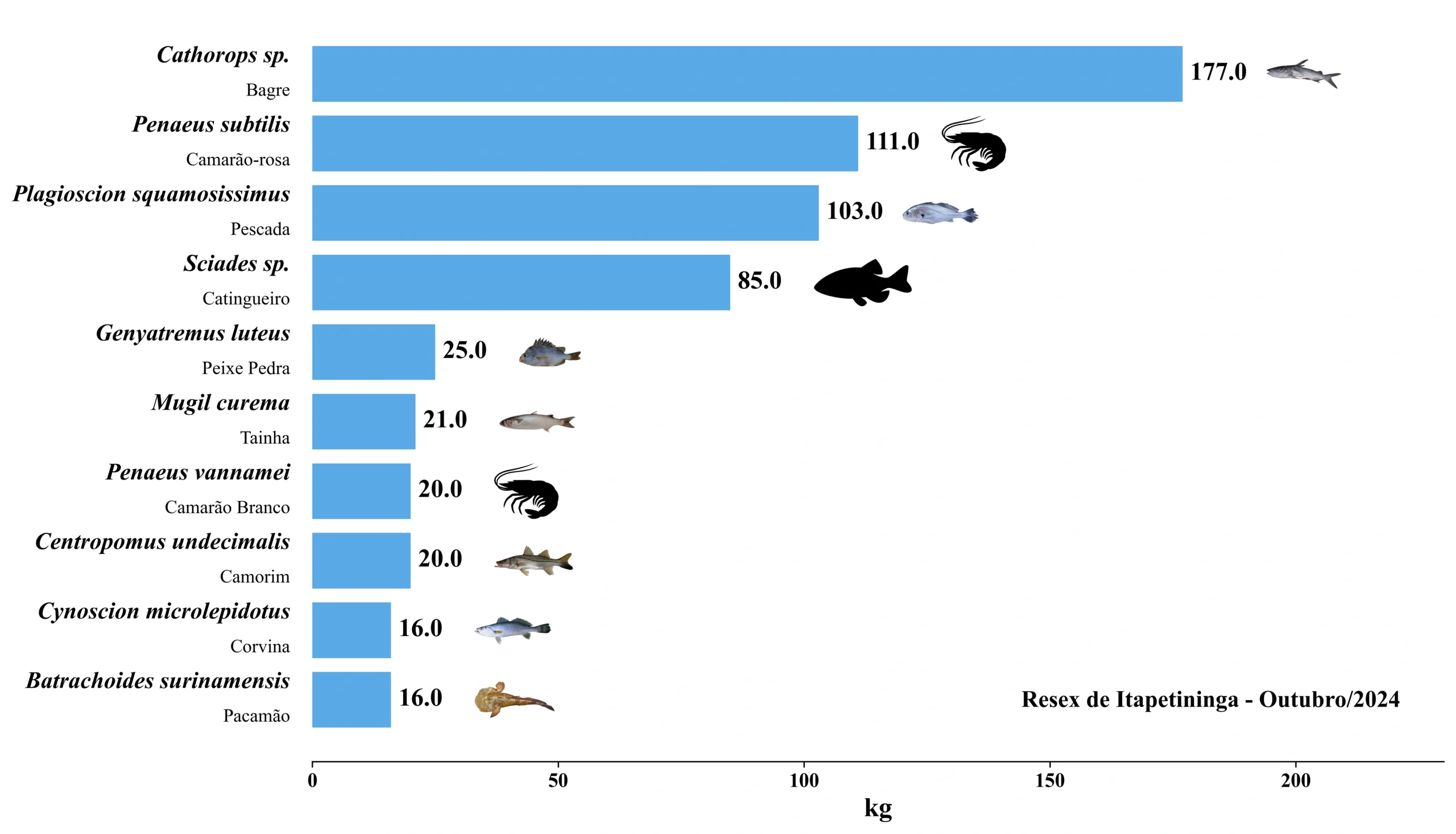 Grafico Resex Itapetininga 2024 10