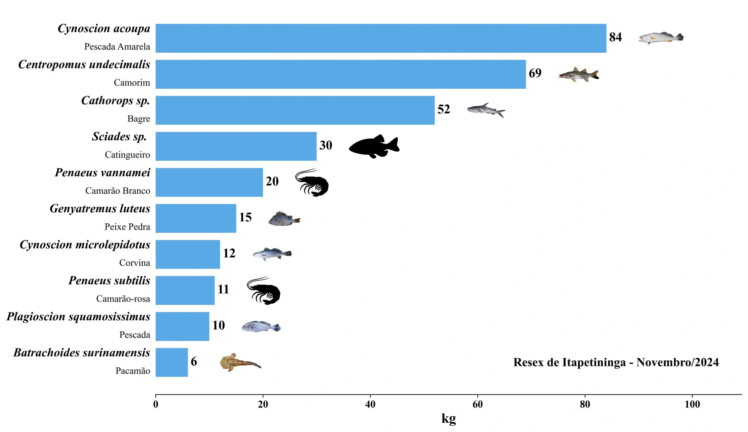 Grafico Resex Itapetininga 2024 11