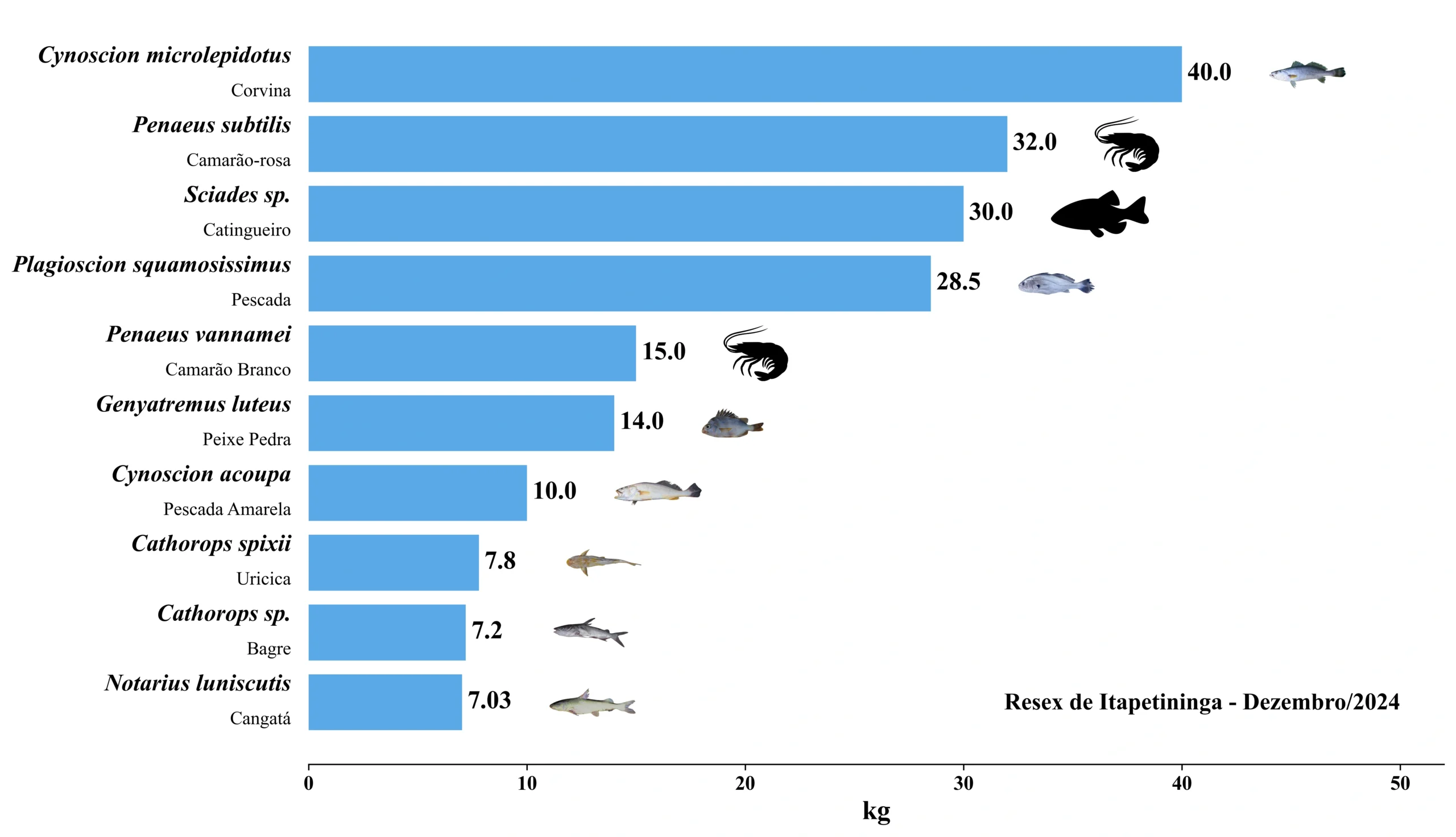 Grafico Resex Itapetininga 2024 12