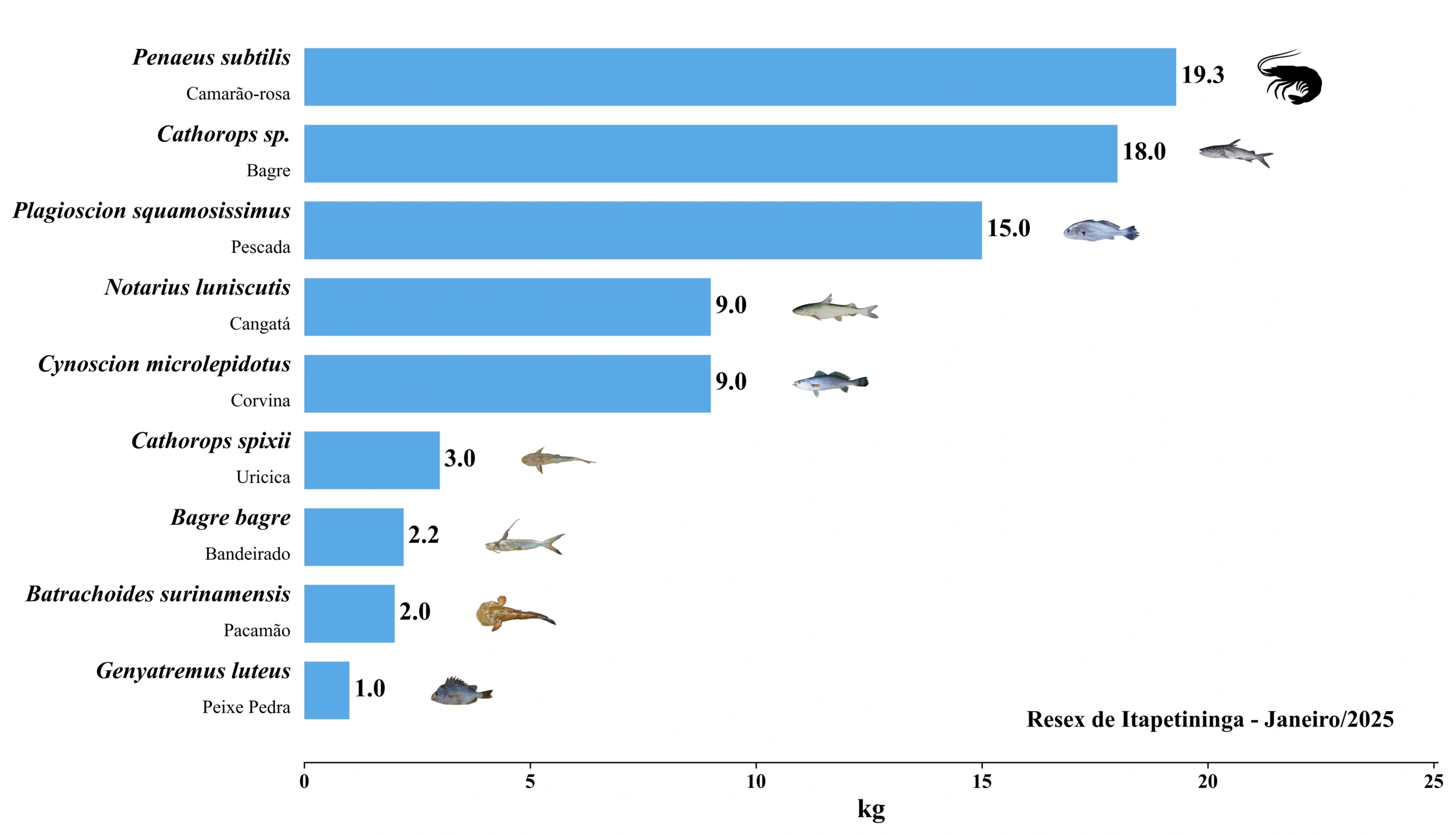 Grafico Resex Itapetininga 2025 01
