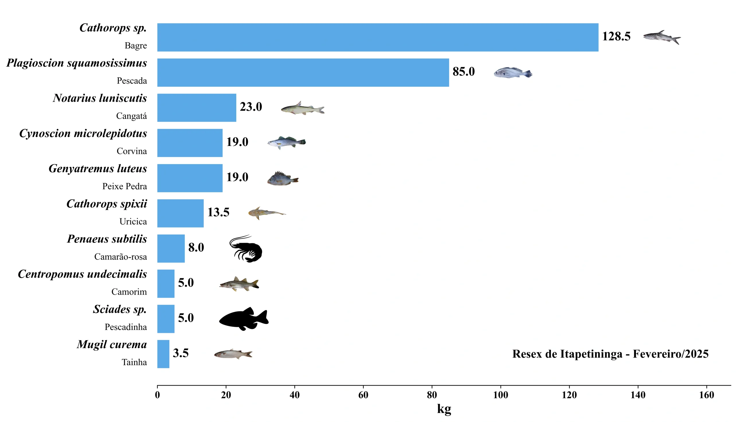 Grafico Resex Itapetininga 2025 02