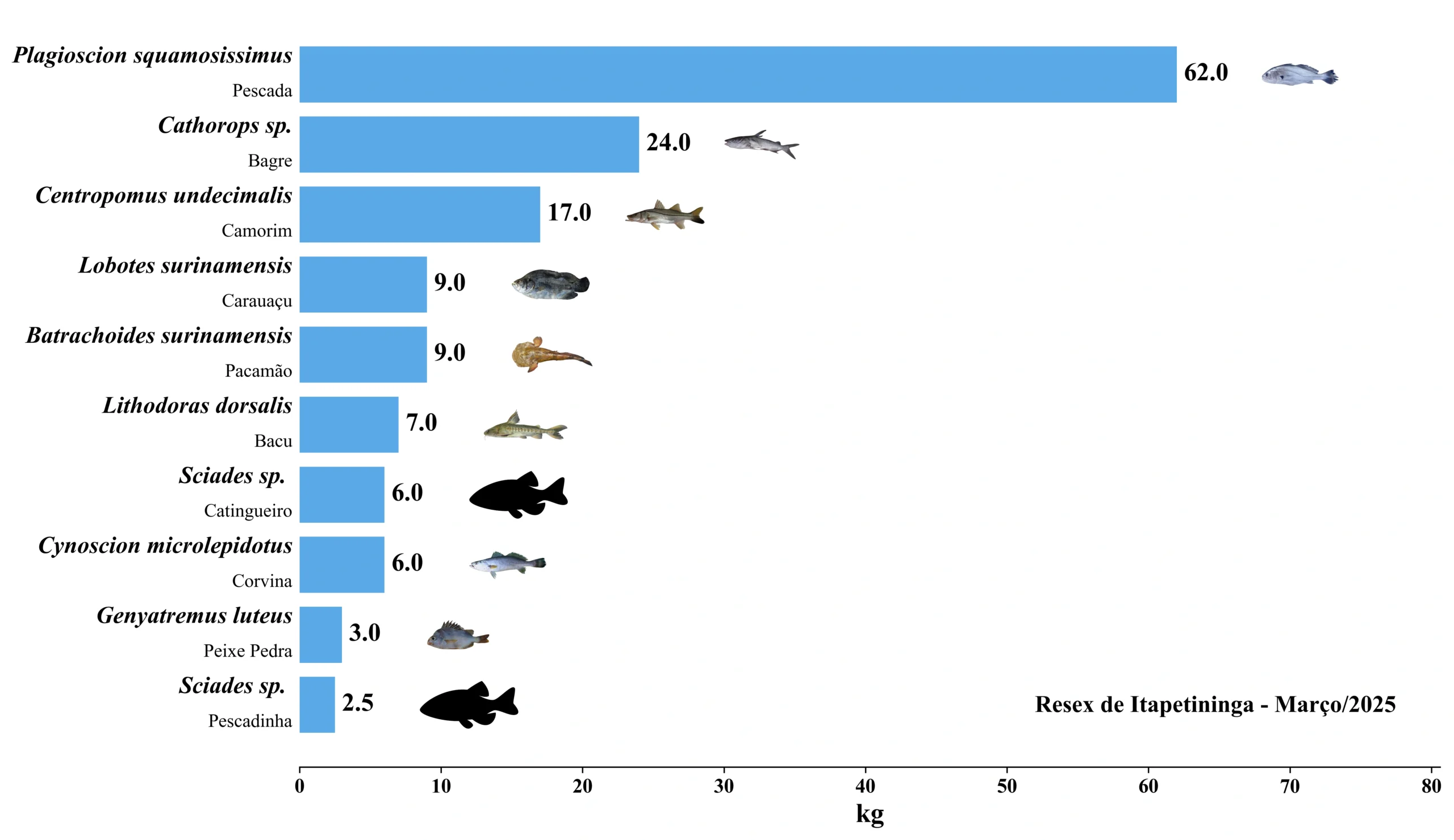 Grafico Resex Itapetininga 2025 03