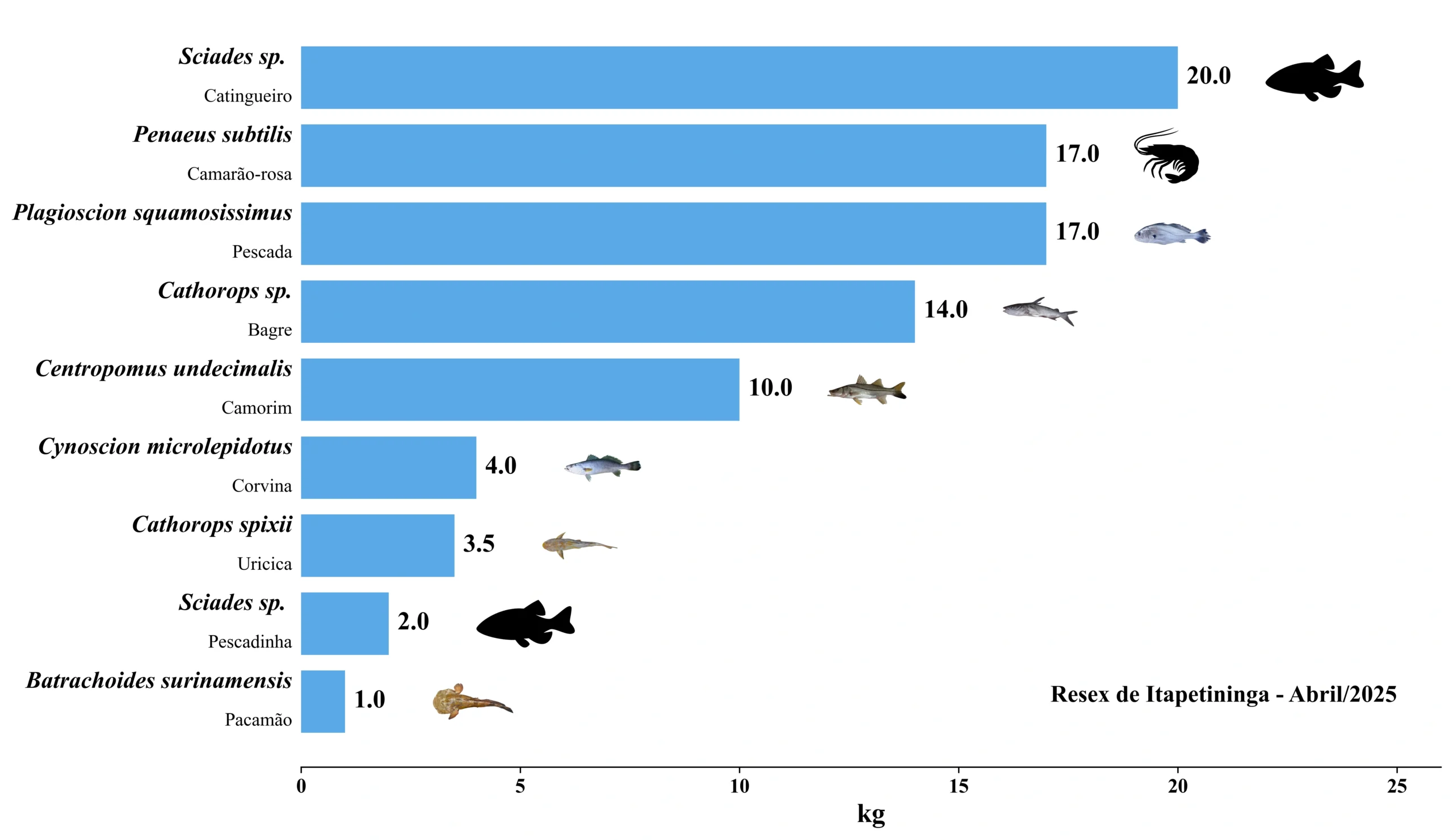 Grafico Resex Itapetininga 2025 04