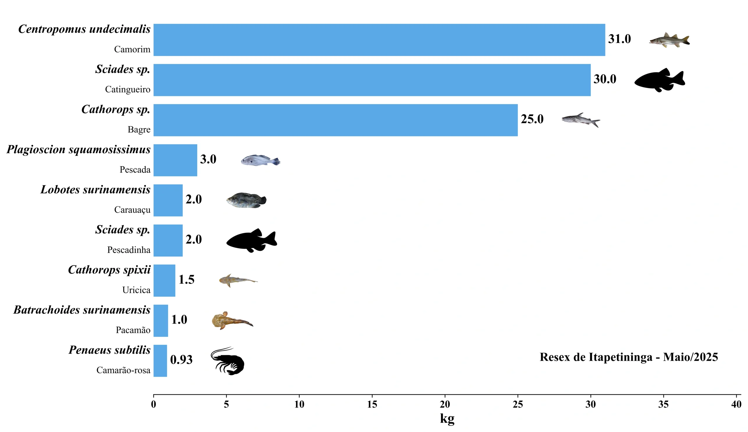 Grafico Resex Itapetininga 2025 05