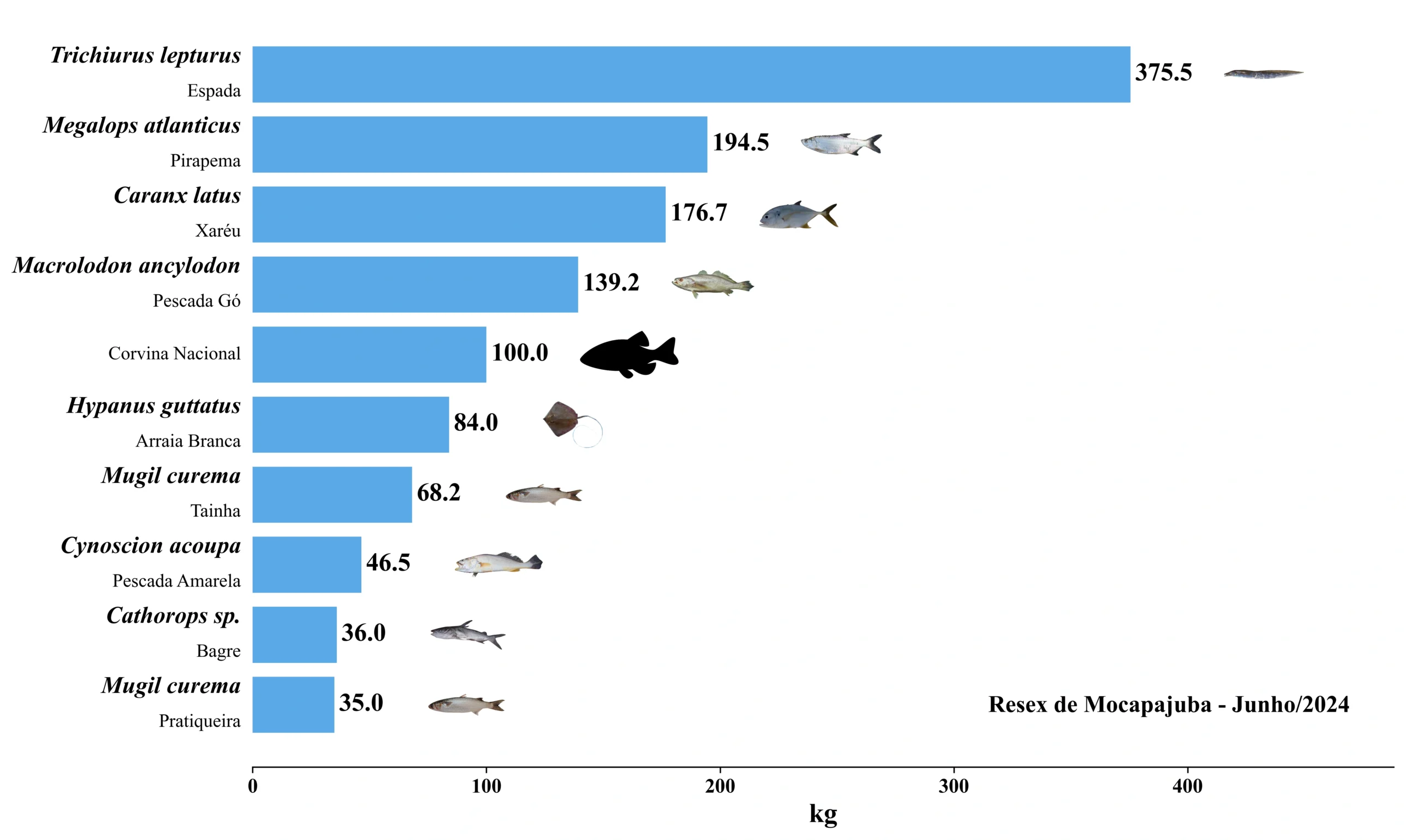 Grafico Resex Mocapajuba 2024 06