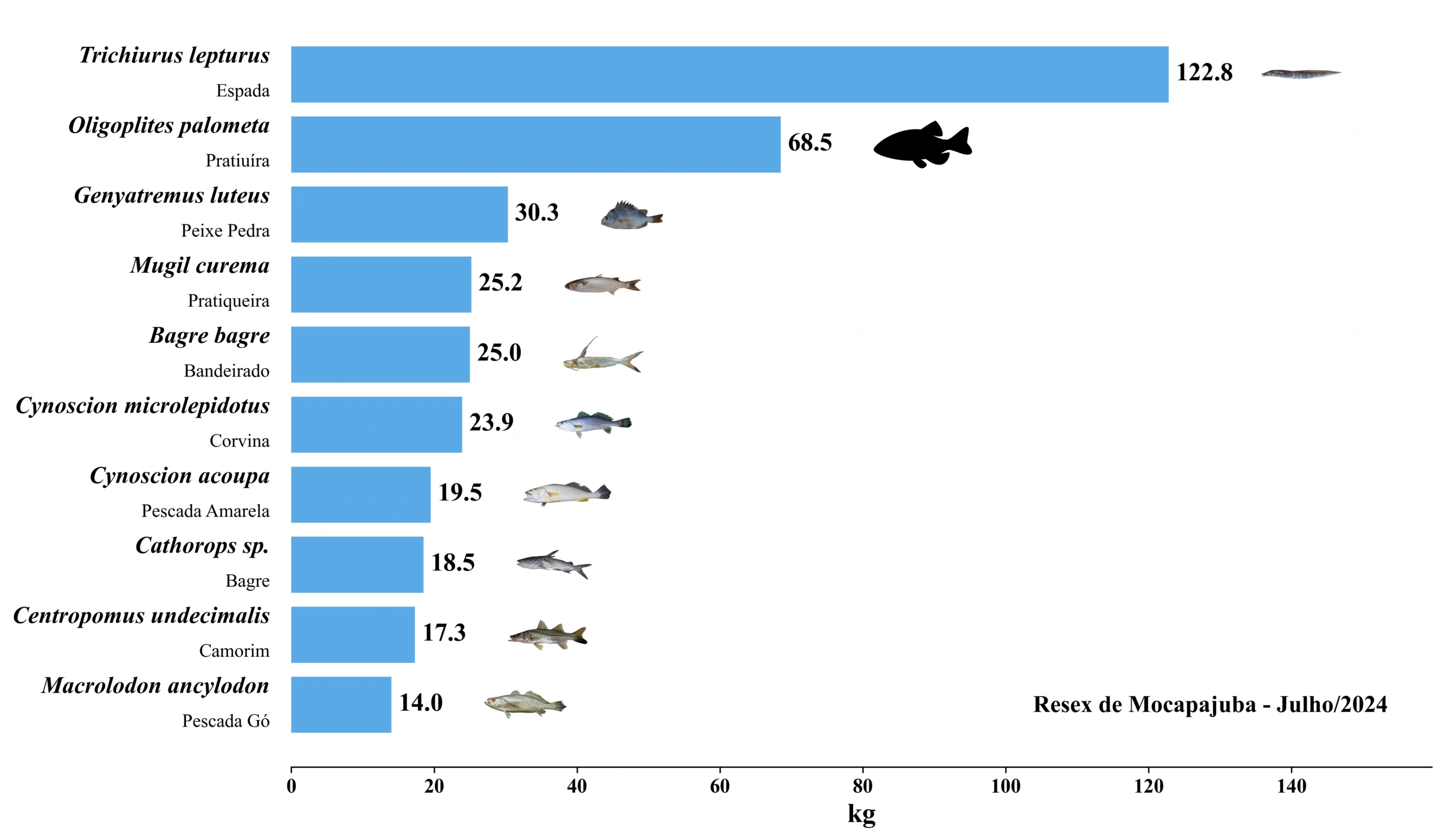 Grafico Resex Mocapajuba 2024 07