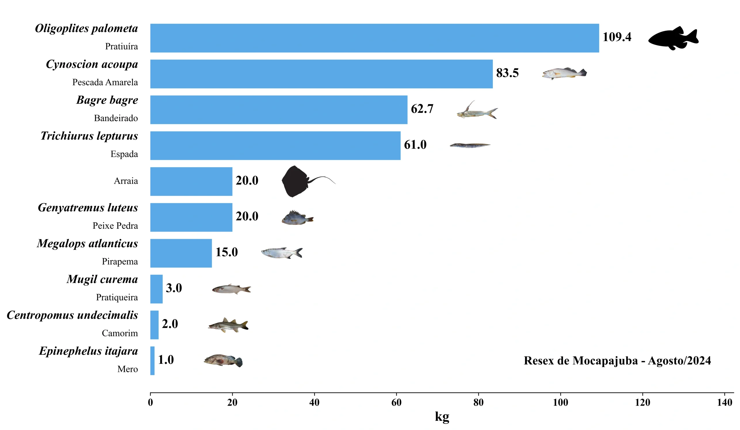 Grafico Resex Mocapajuba 2024 08