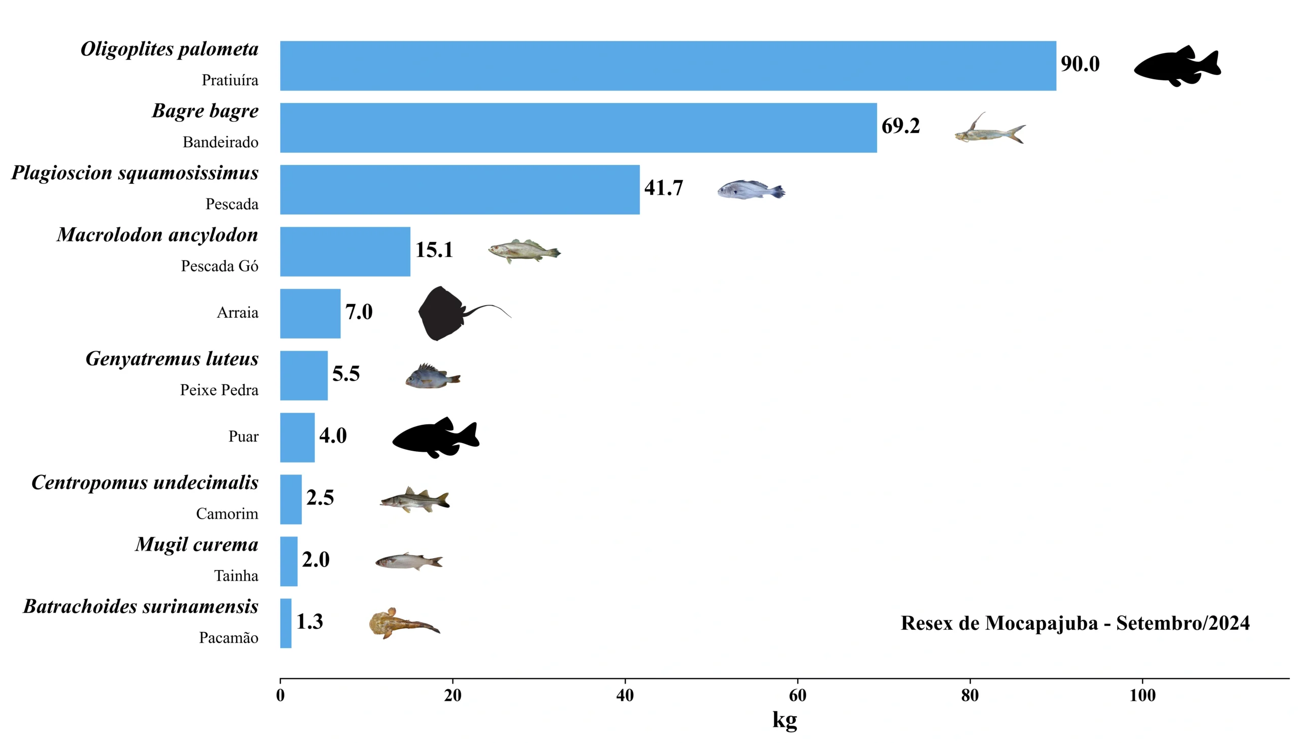 Grafico Resex Mocapajuba 2024 09