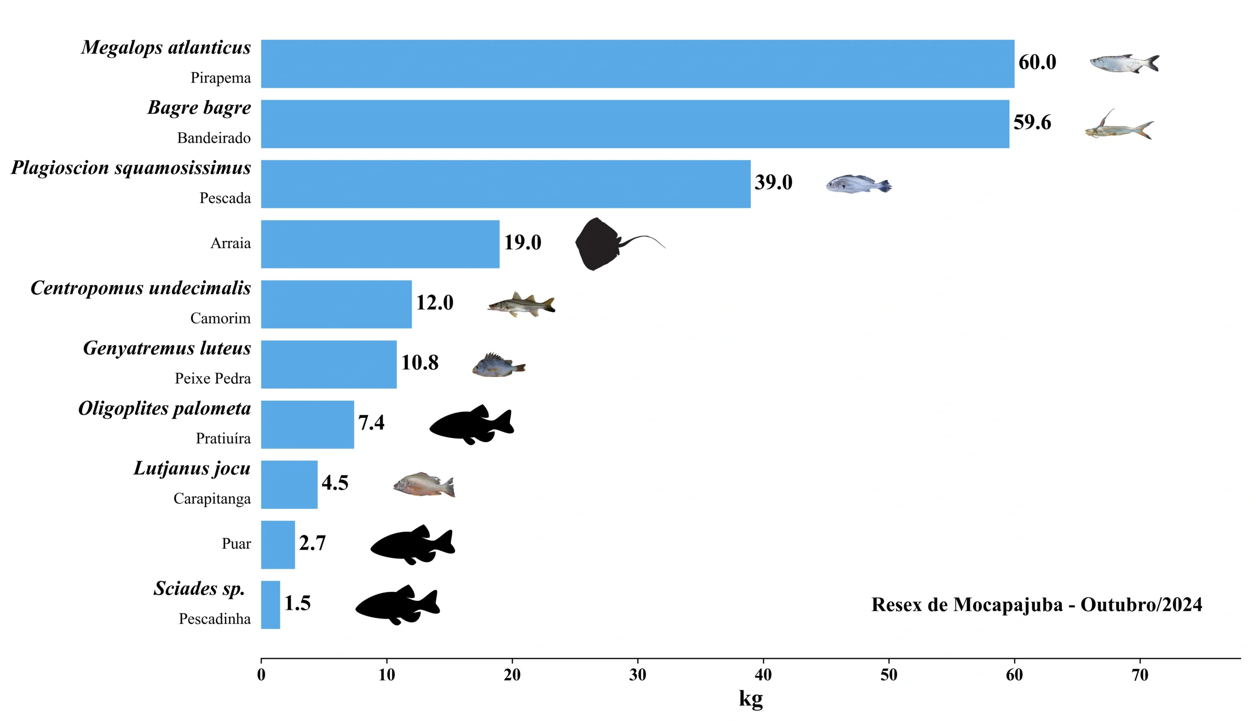 Grafico Resex Mocapajuba 2024 10