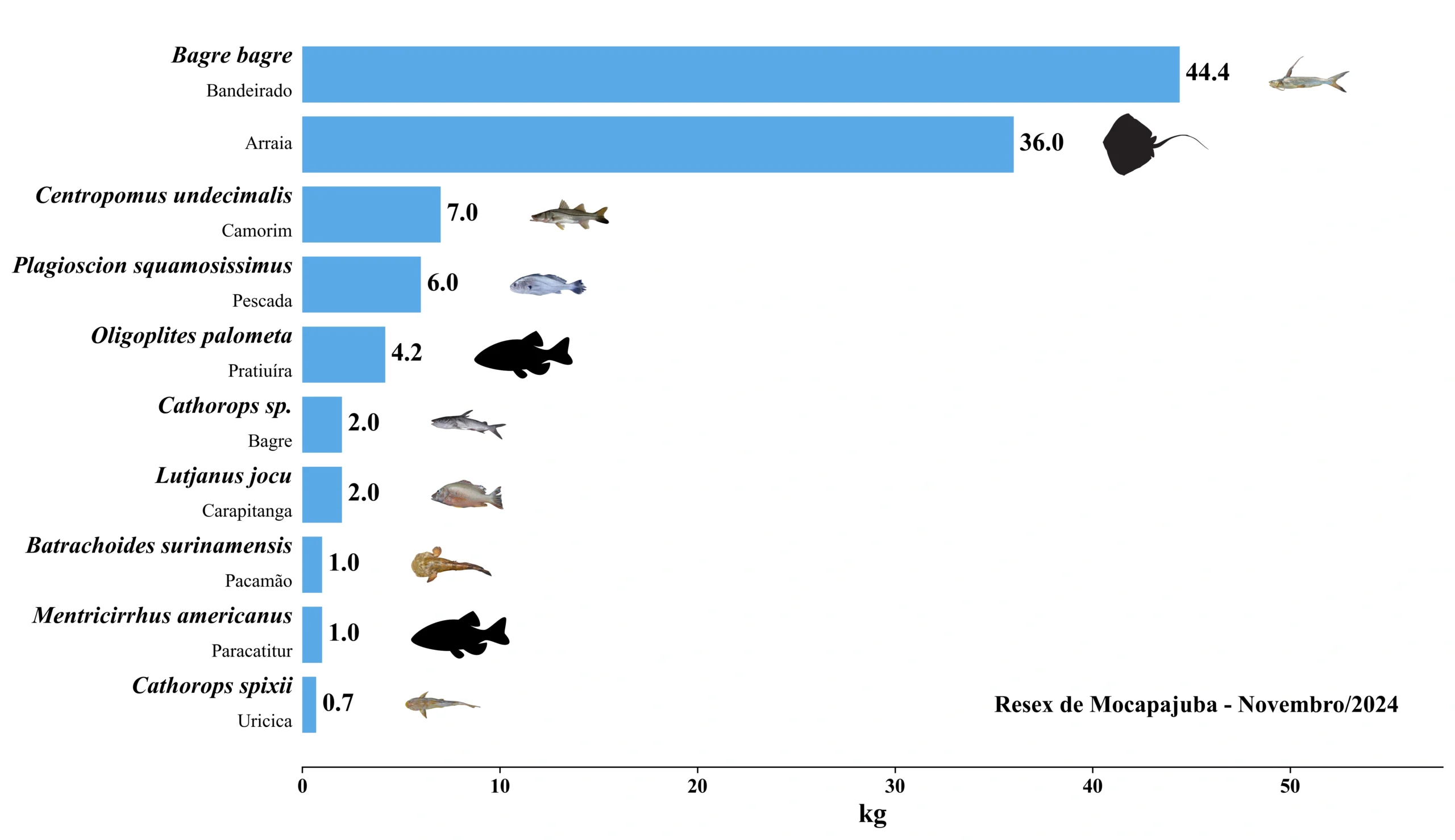 Grafico Resex Mocapajuba 2024 11