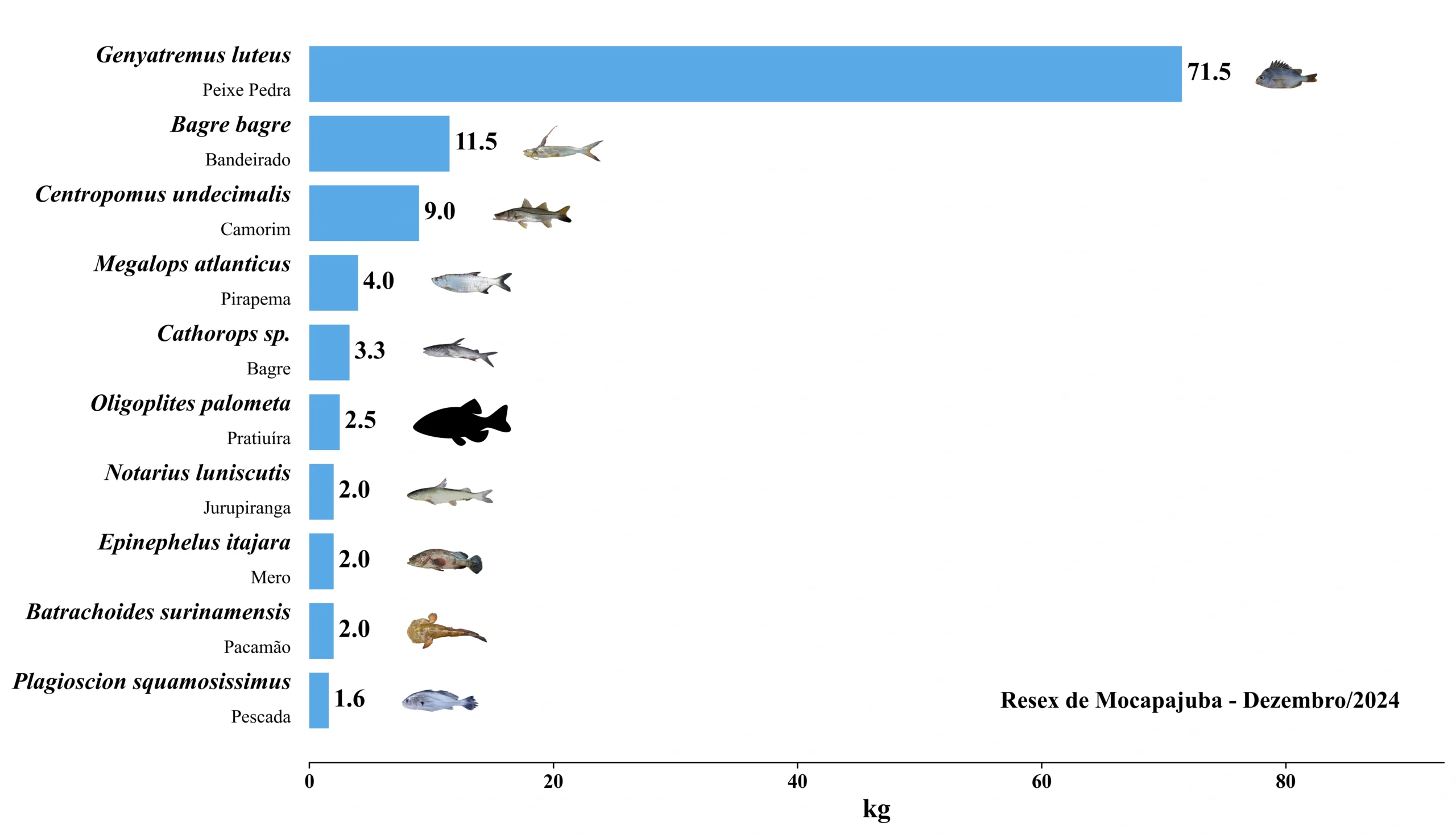 Grafico Resex Mocapajuba 2024 12