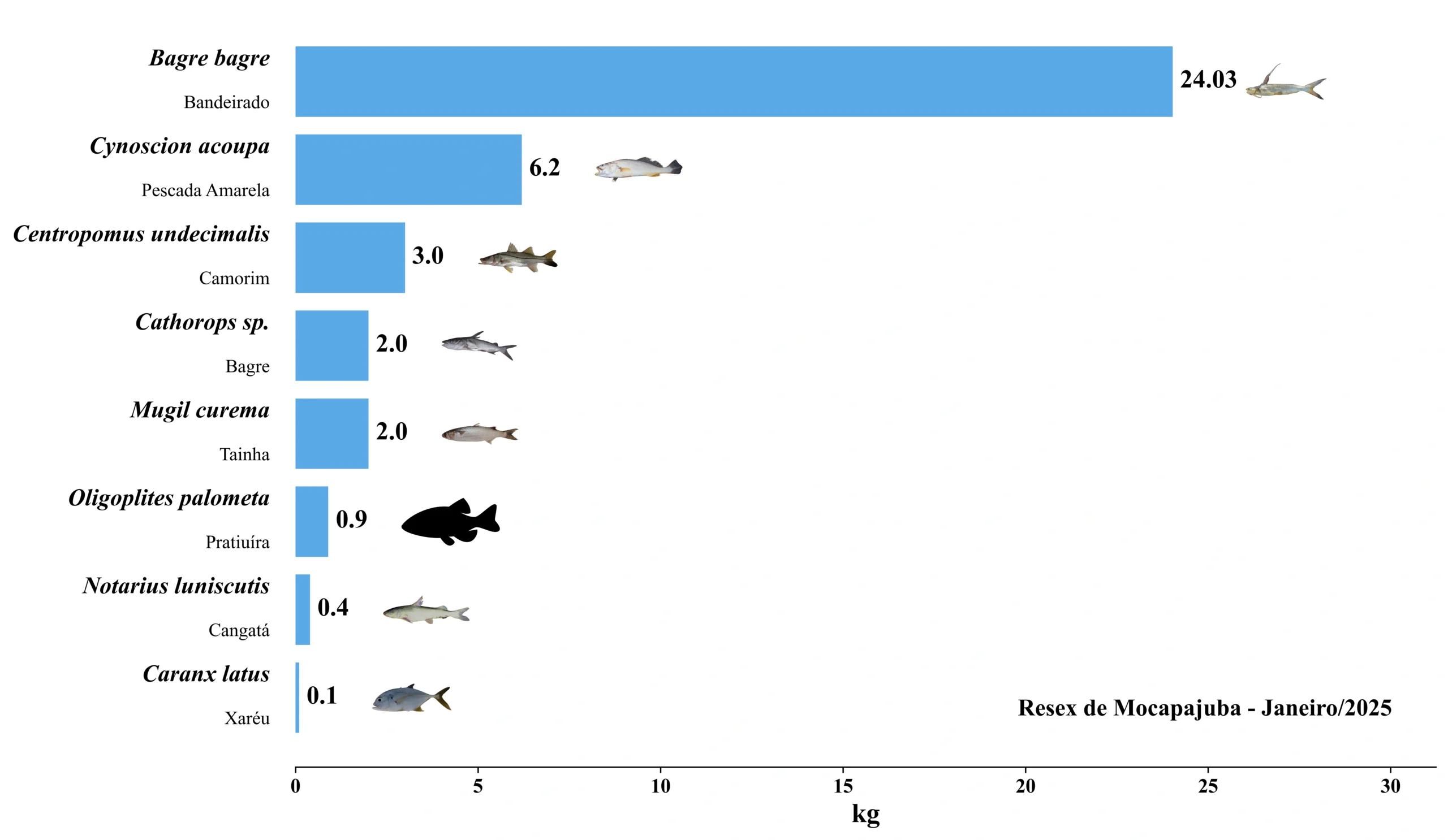 Grafico Resex Mocapajuba 2025 01