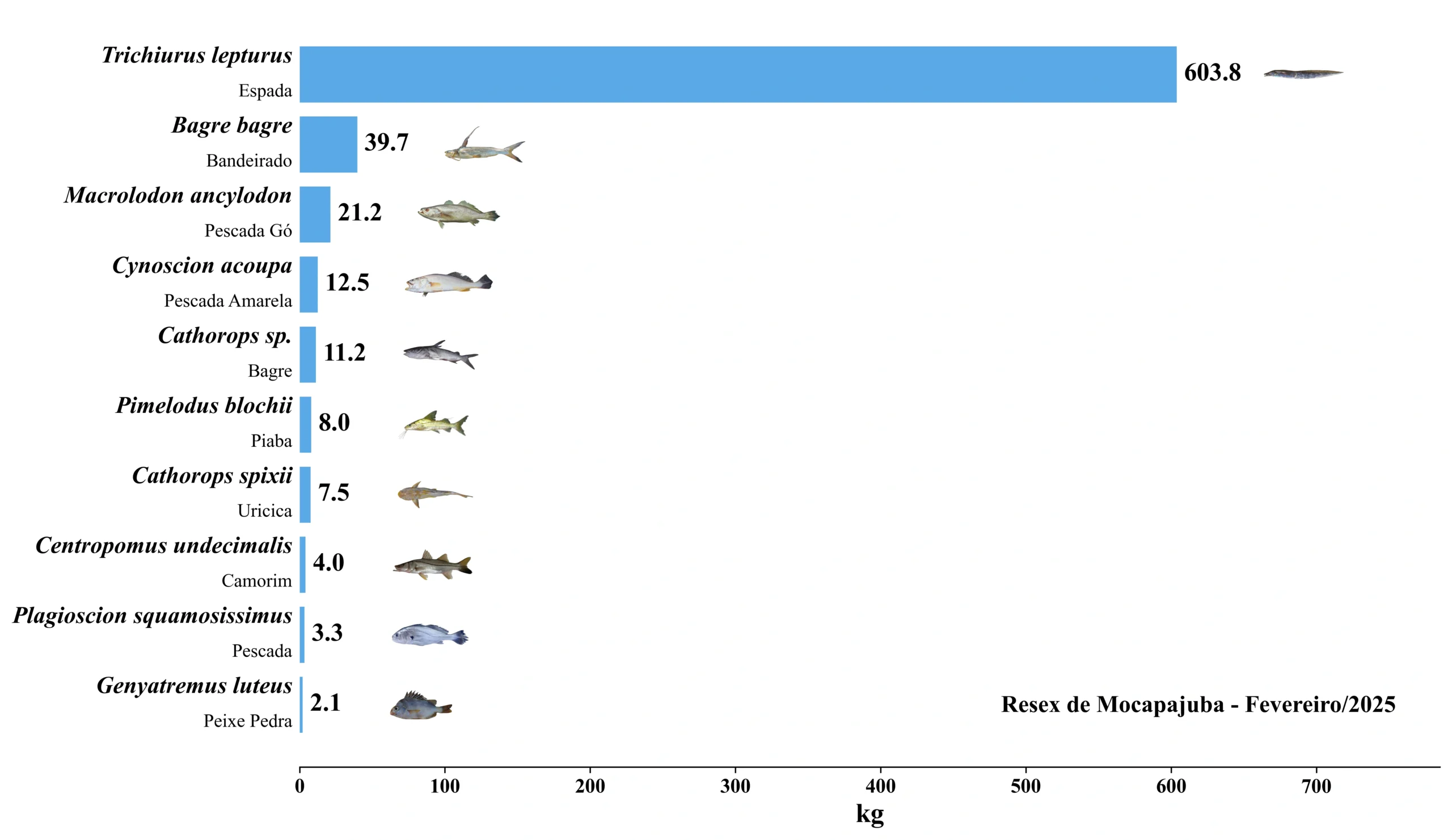 Grafico Resex Mocapajuba 2025 02