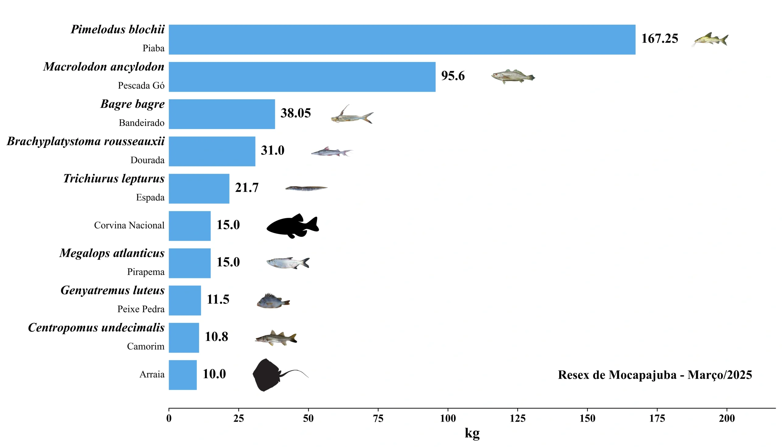 Grafico Resex Mocapajuba 2025 03