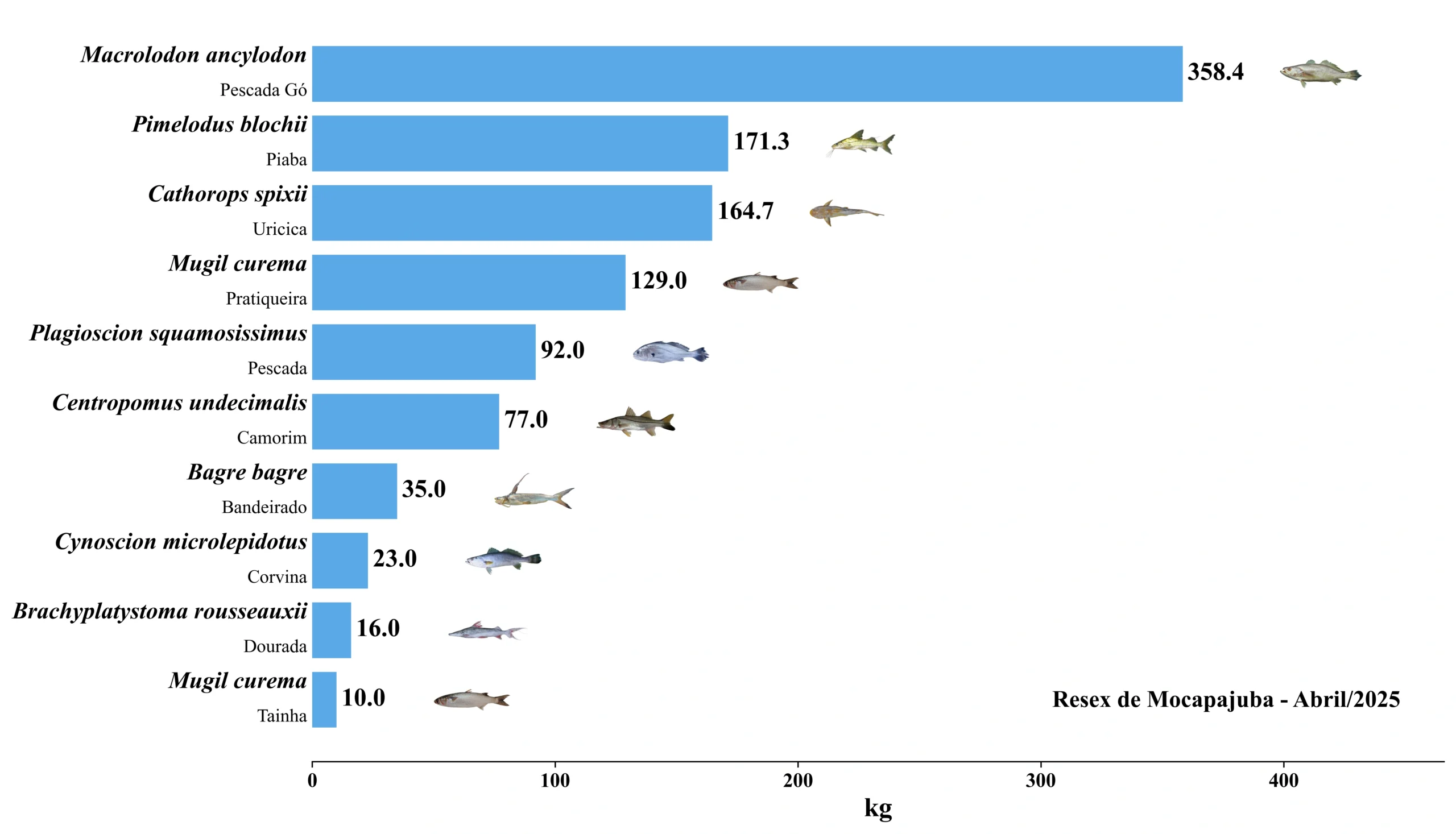 Grafico Resex Mocapajuba 2025 04