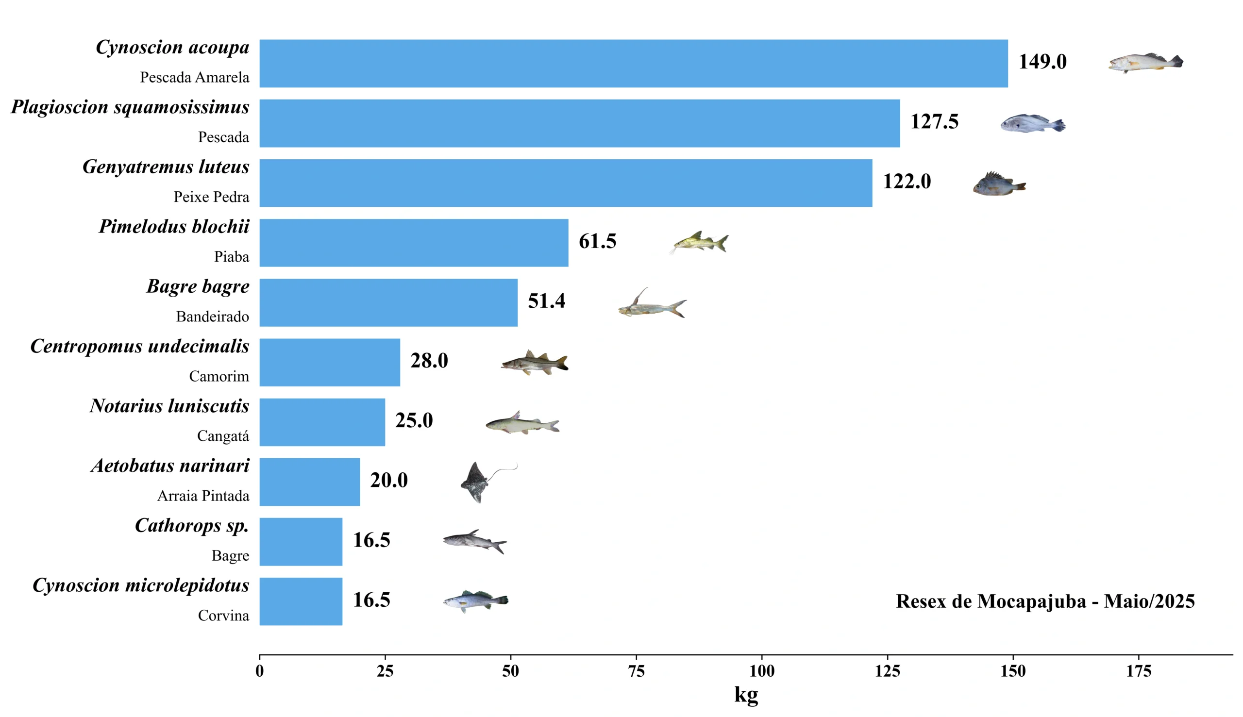 Grafico Resex Mocapajuba 2025 05