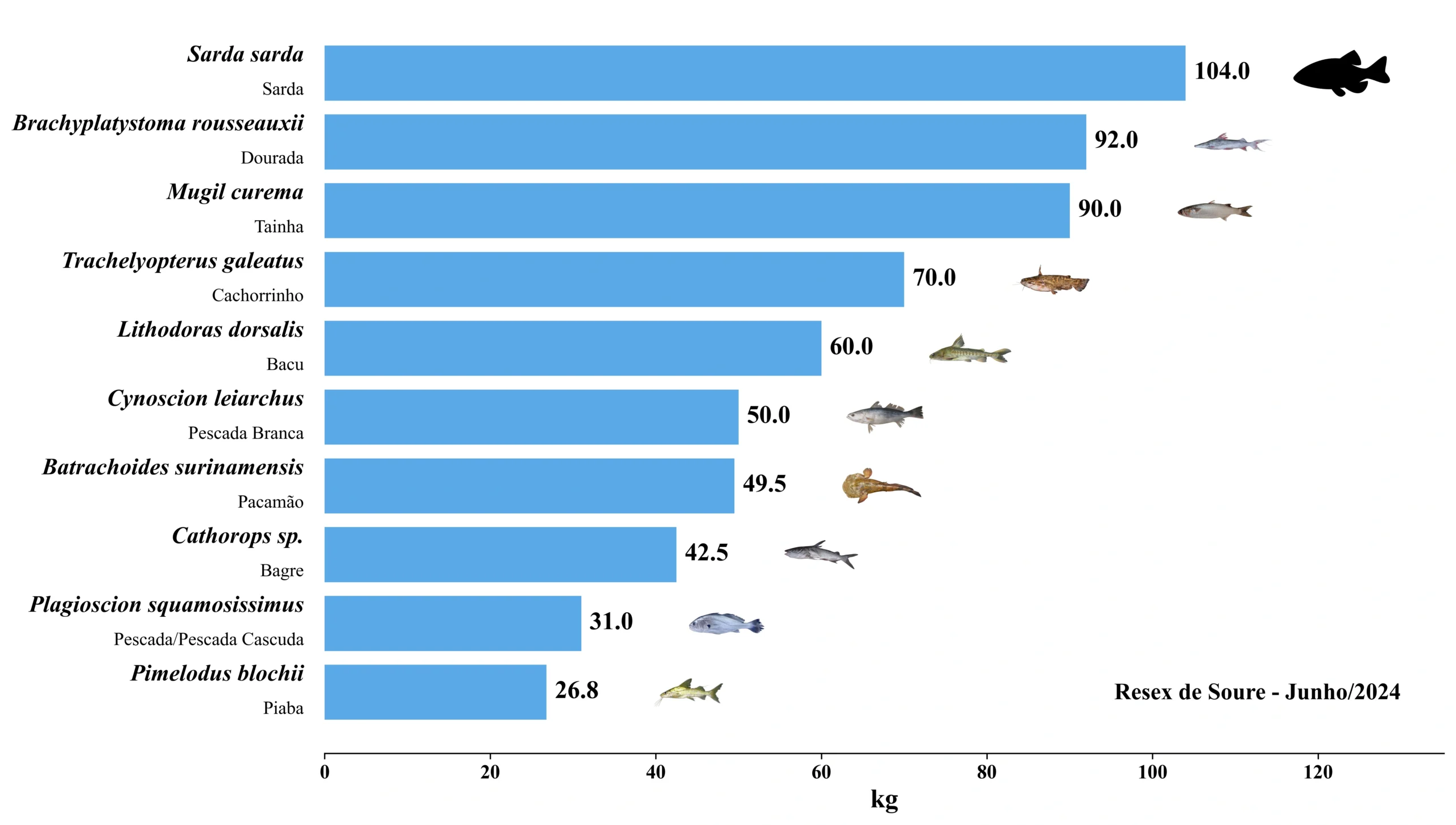 Grafico Resex Soure 2024 06