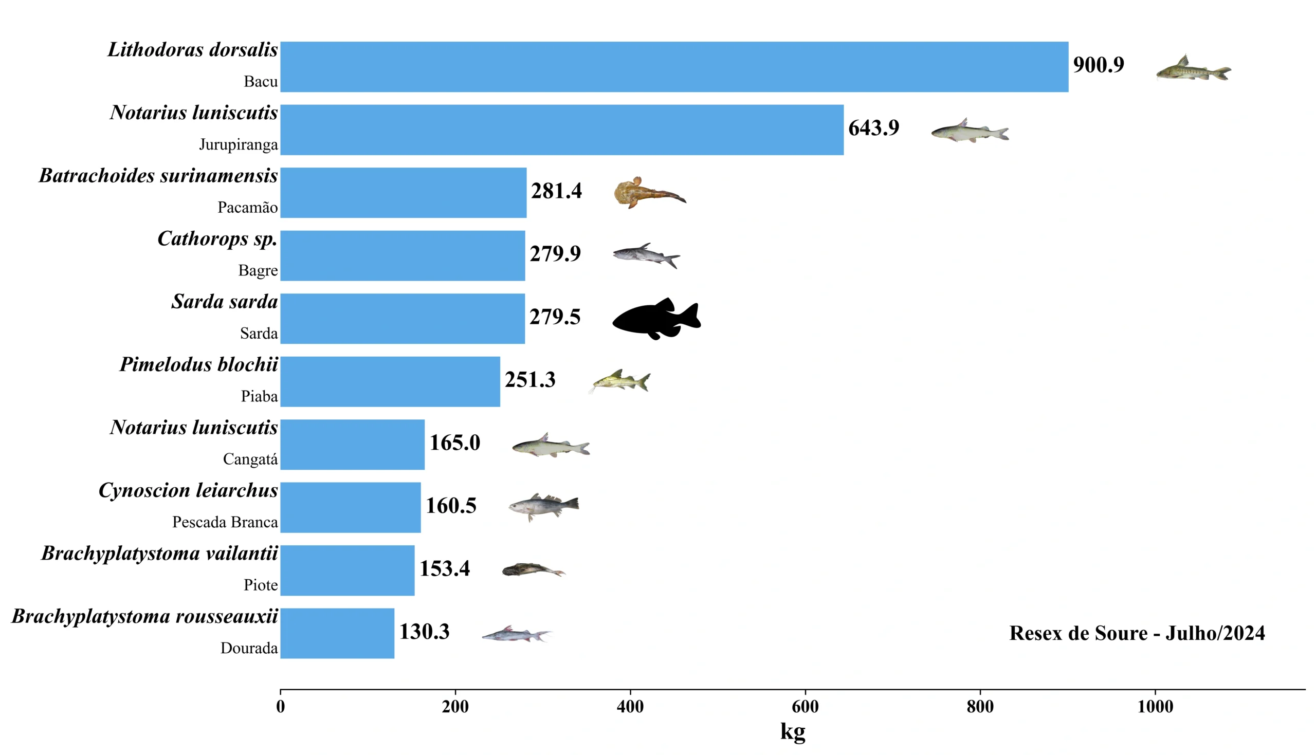 Grafico Resex Soure 2024 07