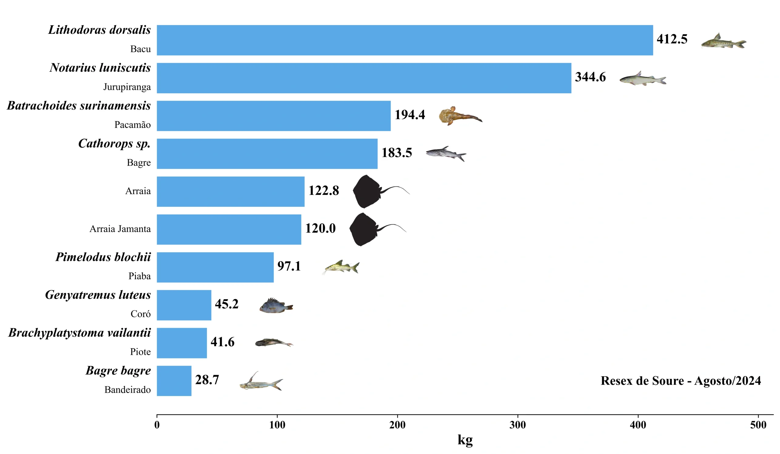 Grafico Resex Soure 2024 08