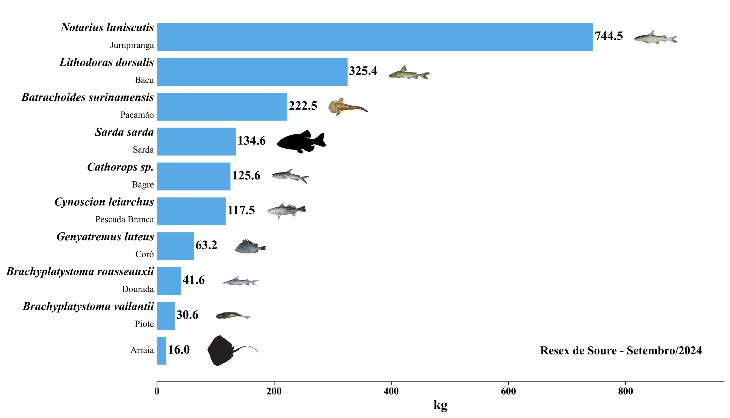 Grafico Resex Soure 2024 09