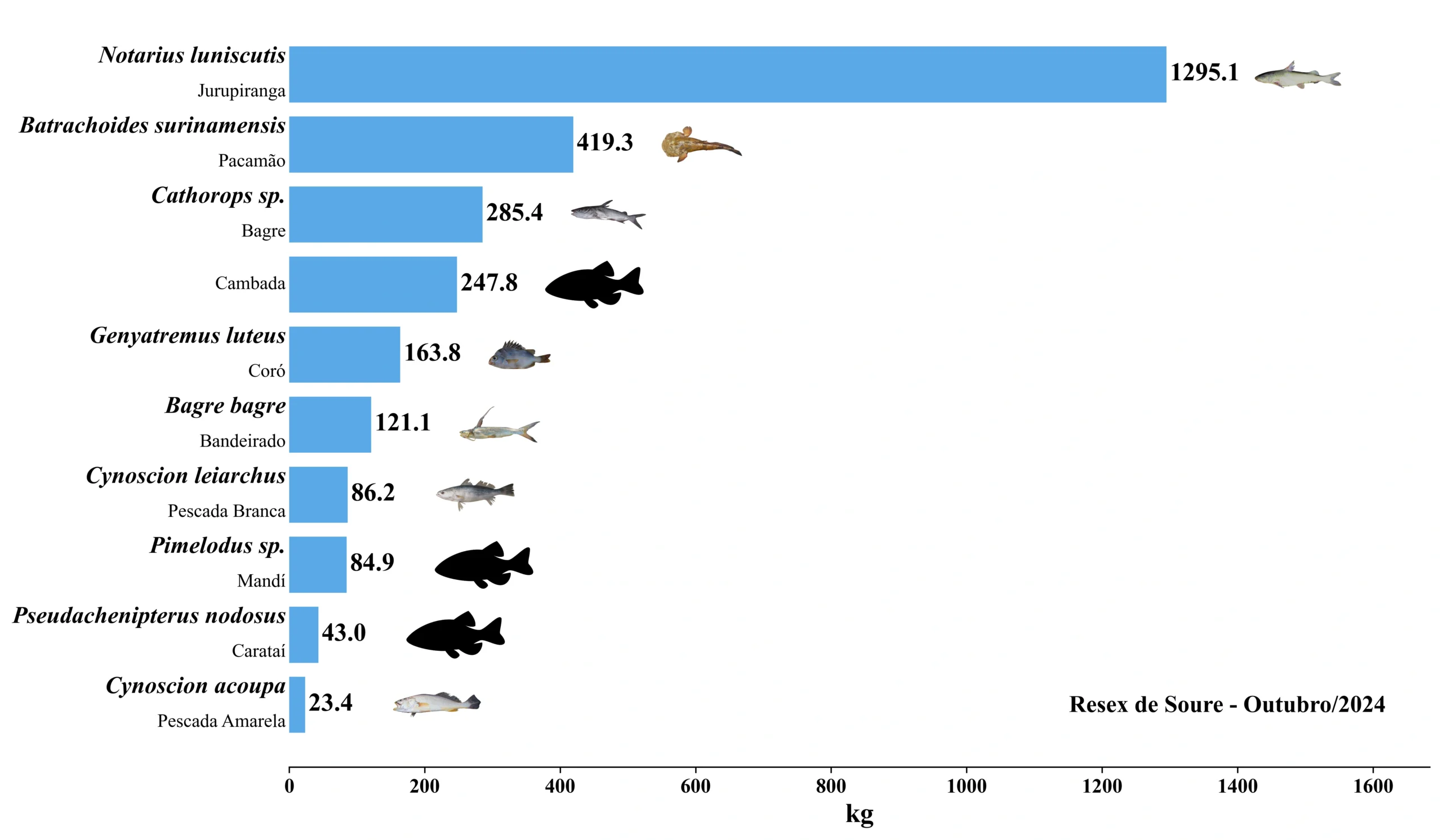 Grafico Resex Soure 2024 10