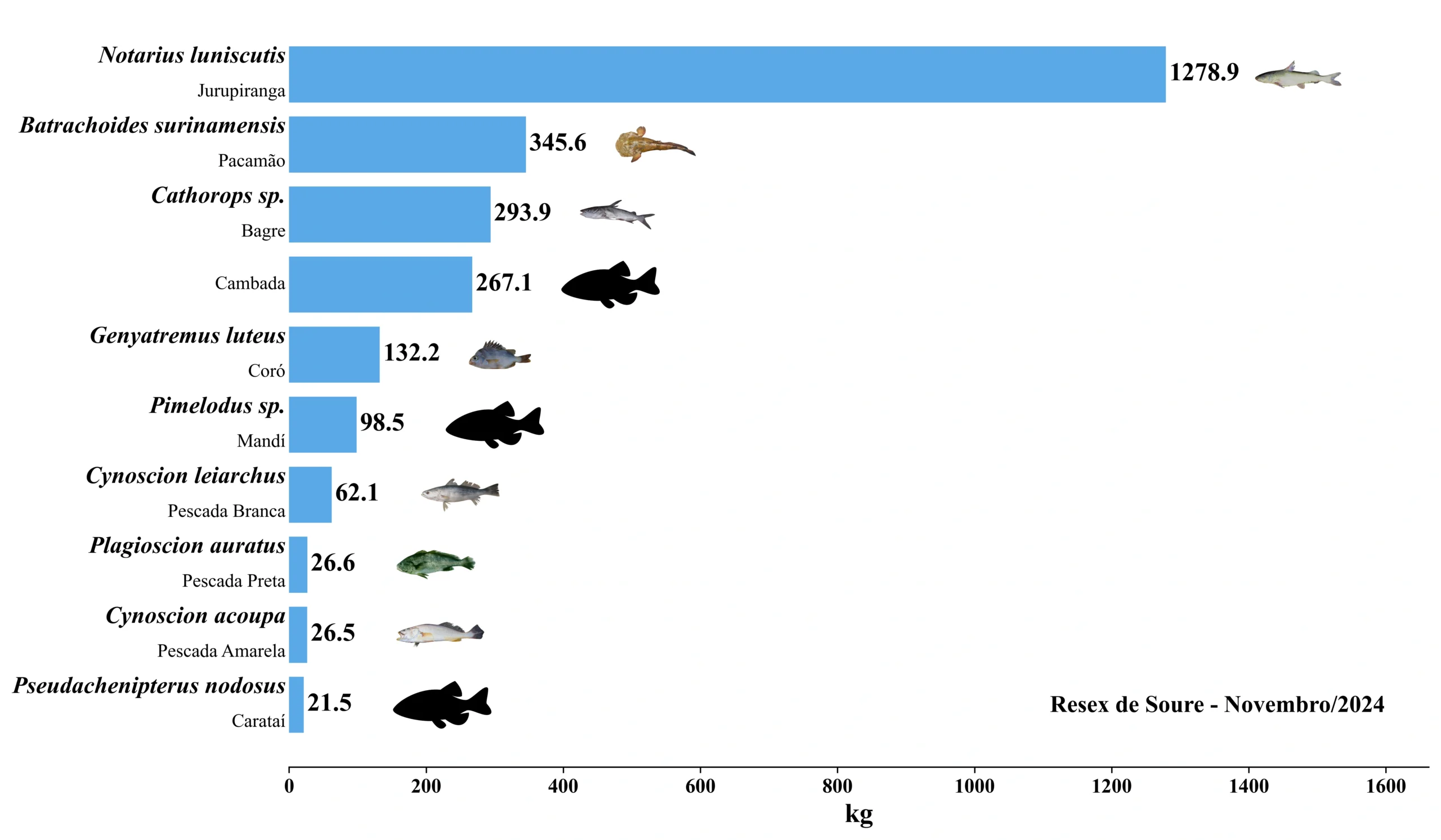 Grafico Resex Soure 2024 11