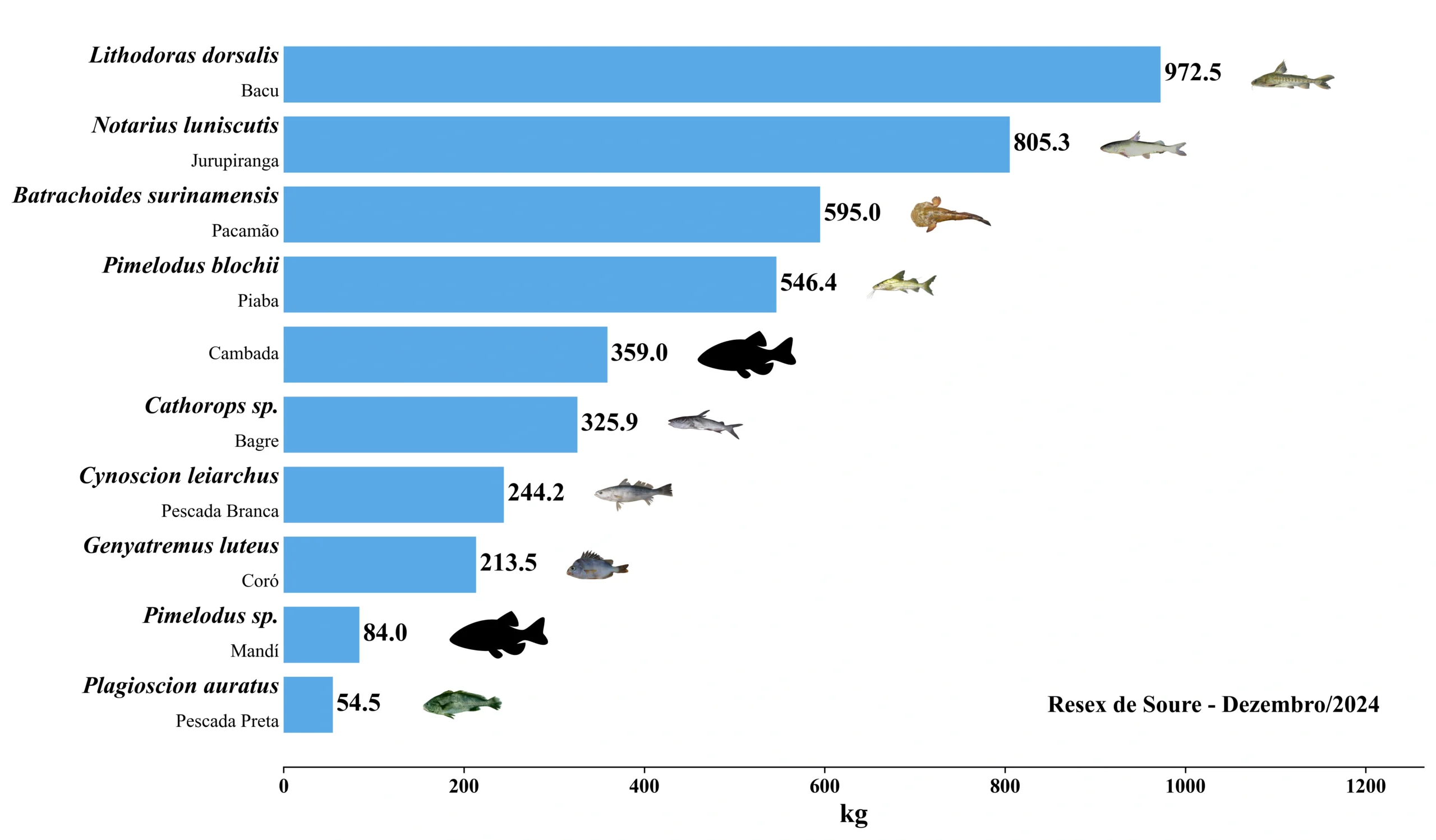 Grafico Resex Soure 2024 12
