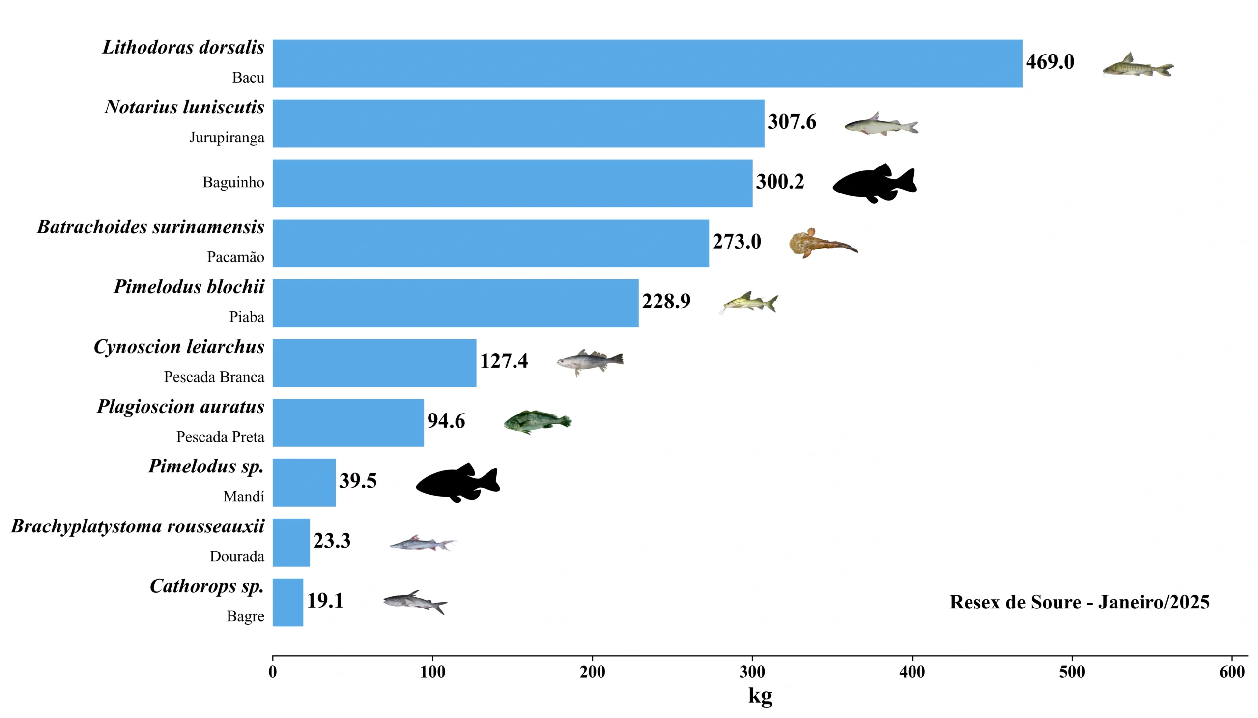Grafico Resex Soure 2025 01