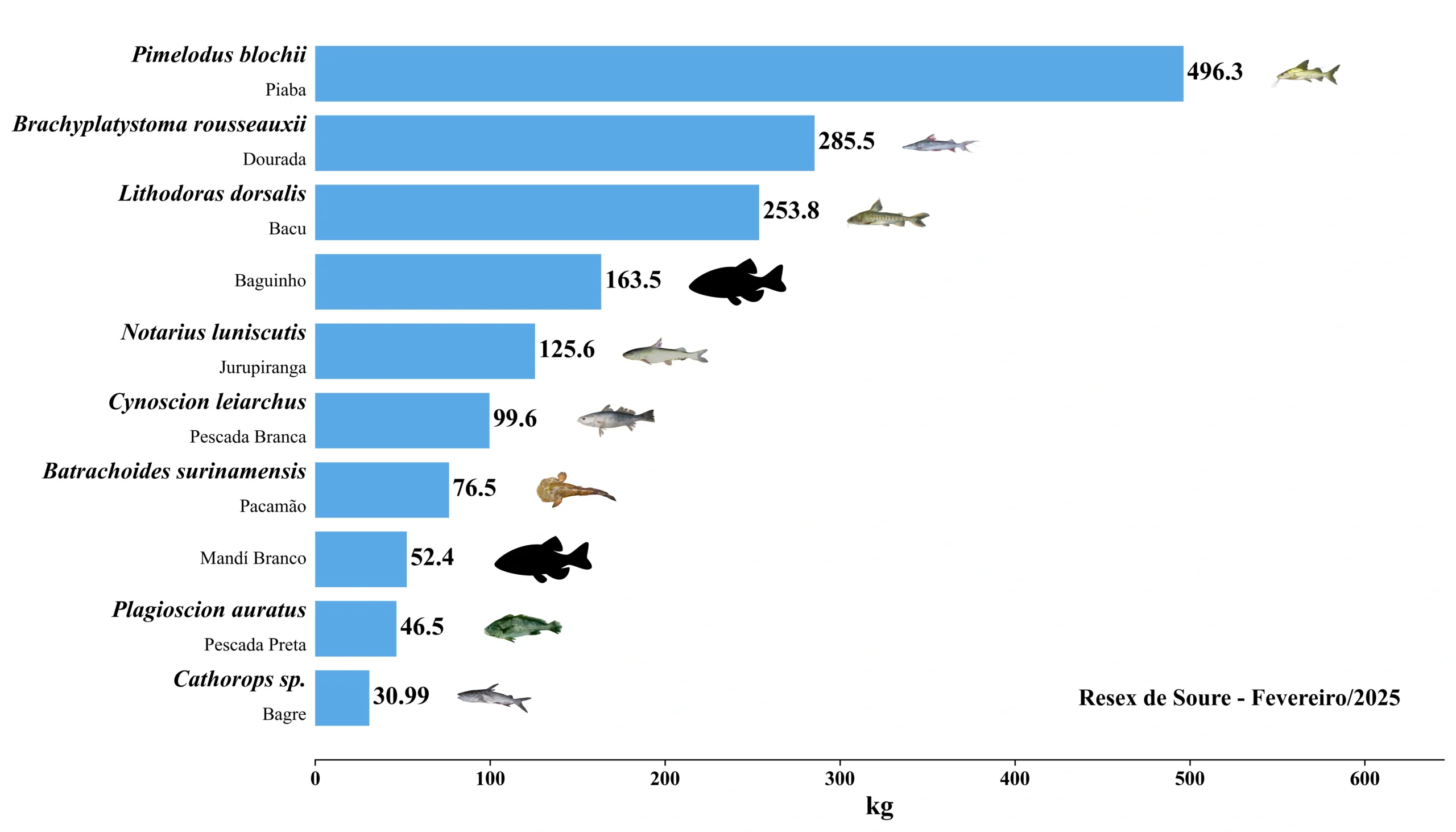 Grafico Resex Soure 2025 02