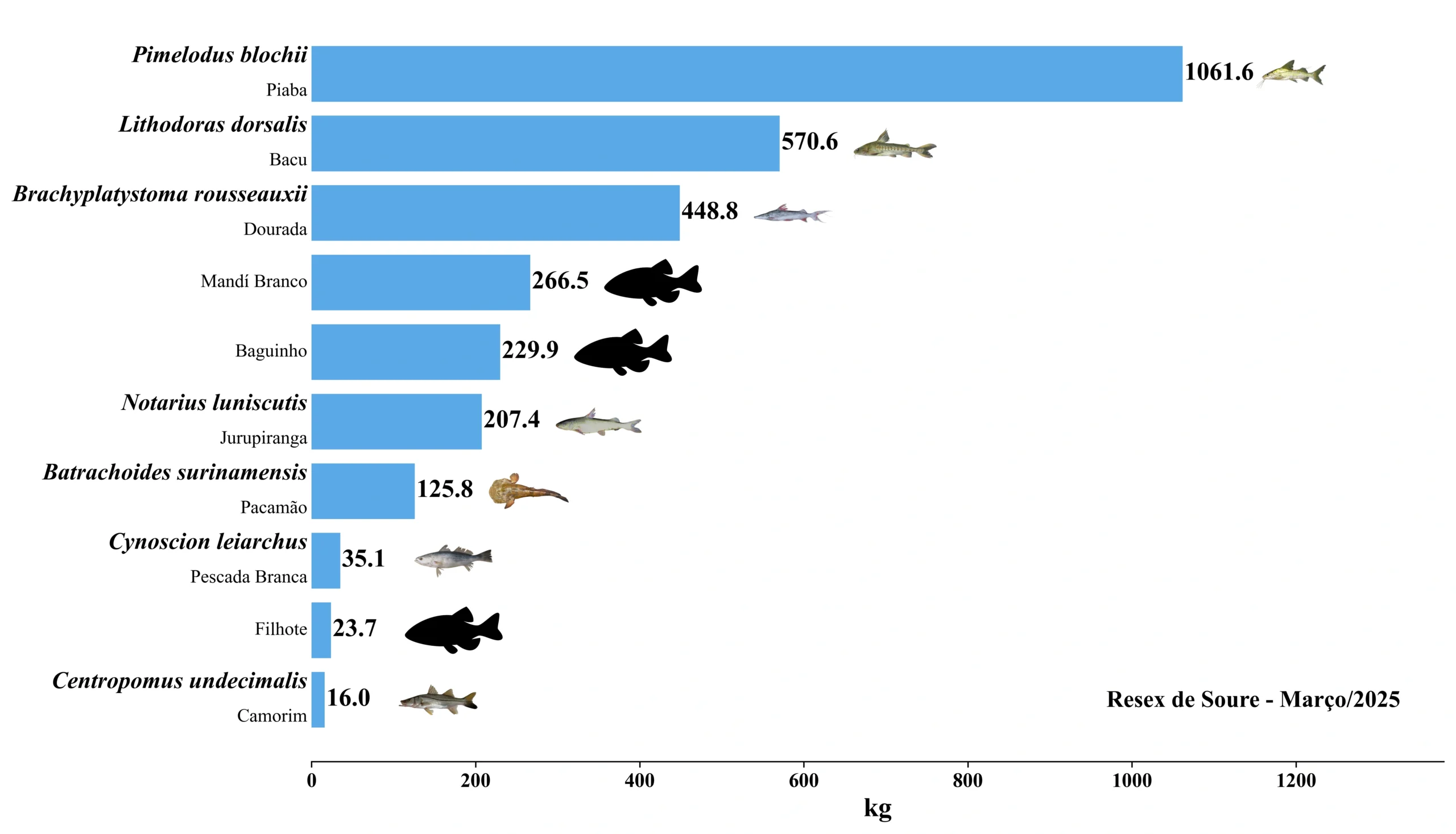 Grafico Resex Soure 2025 03