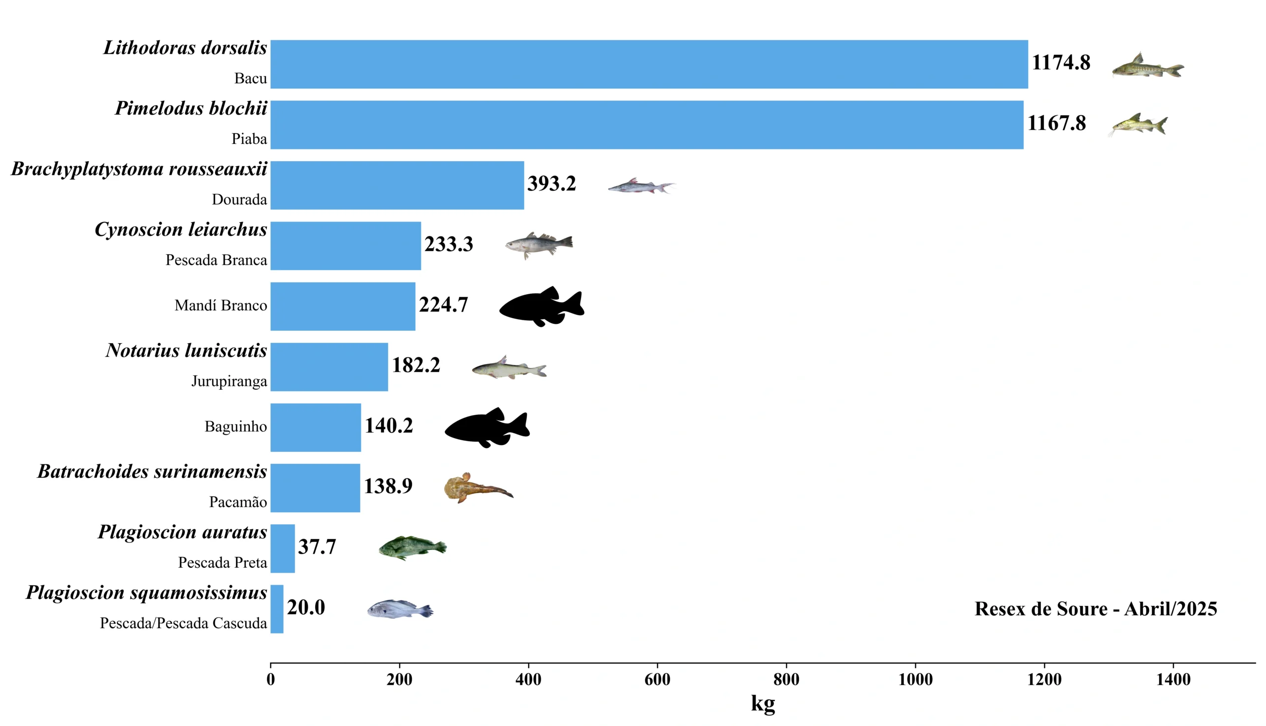 Grafico Resex Soure 2025 04