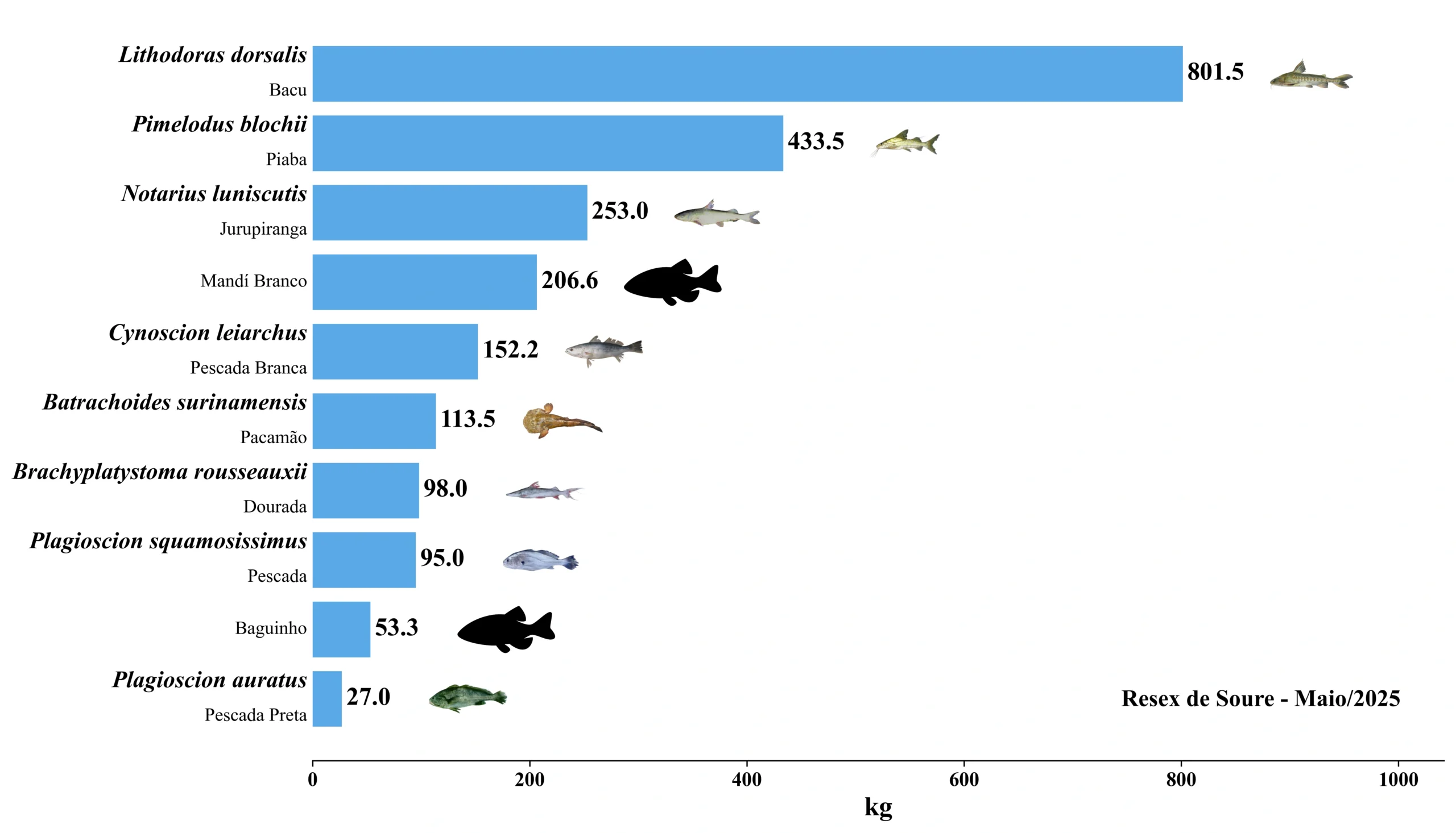 Grafico Resex Soure 2025 05