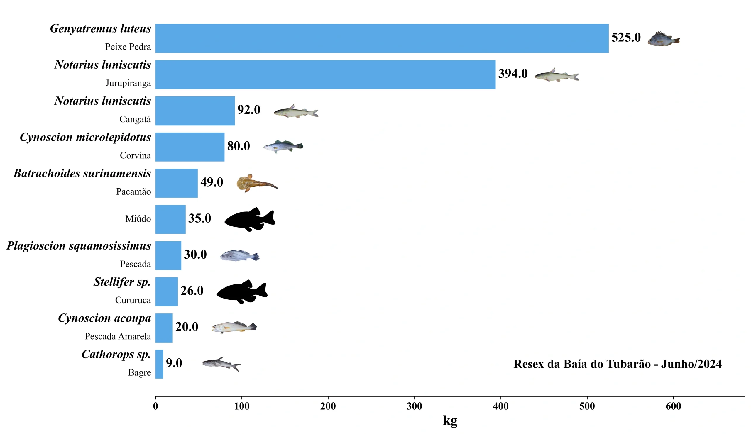 Grafico Resex Tubarao 2024 06