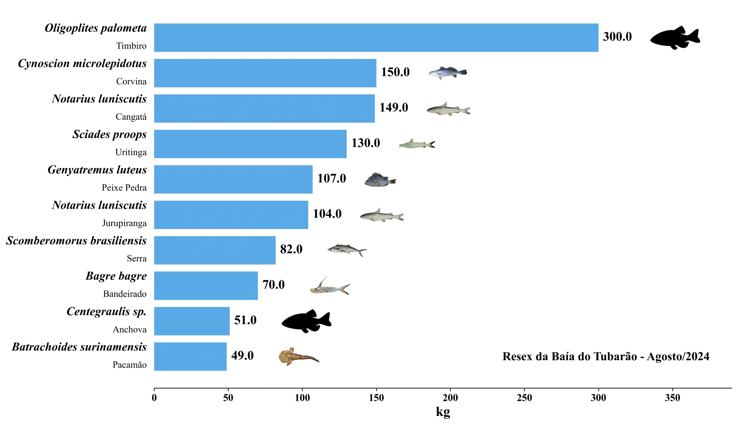 Grafico Resex Tubarao 2024 08