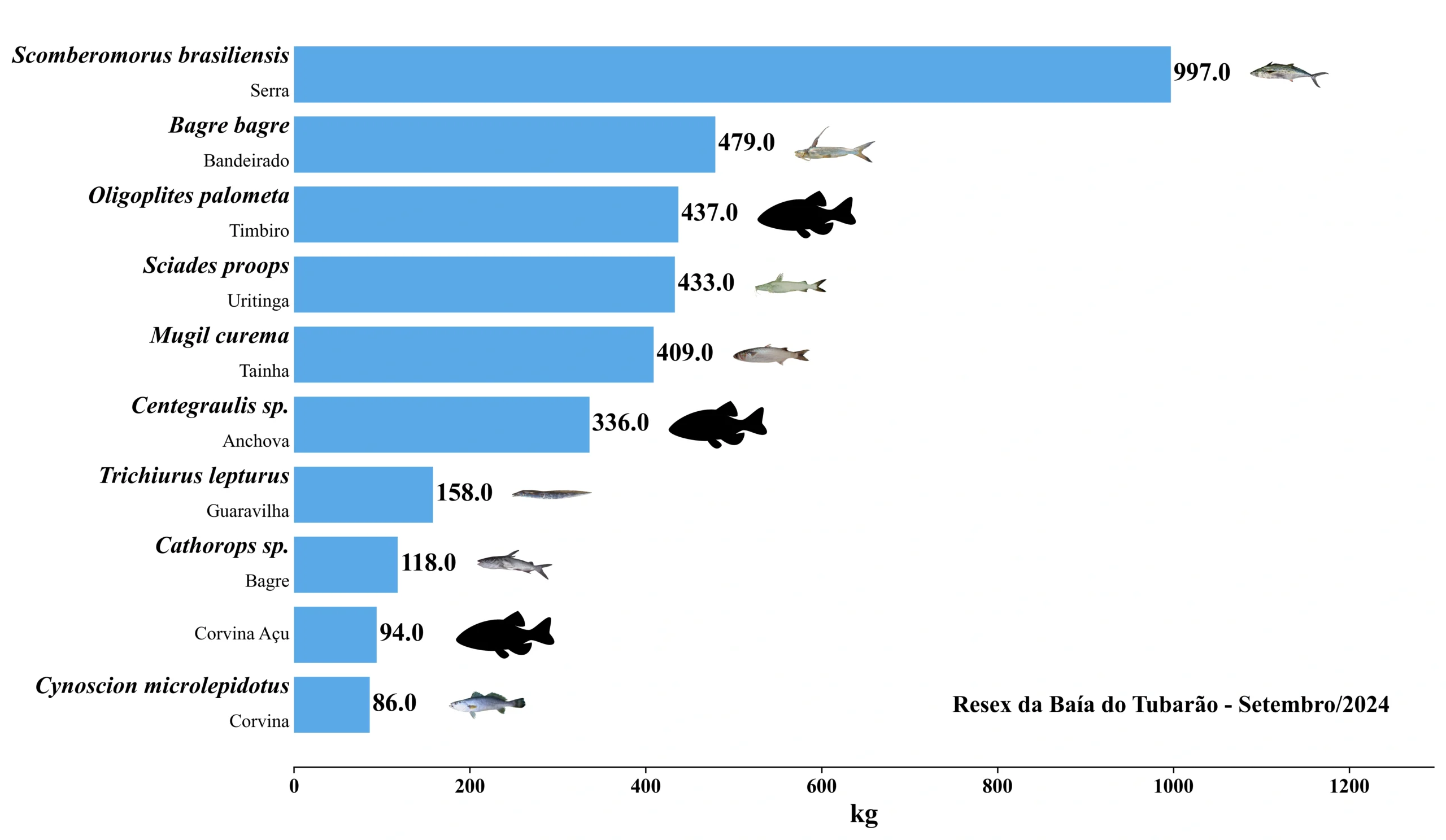 Grafico Resex Tubarao 2024 09