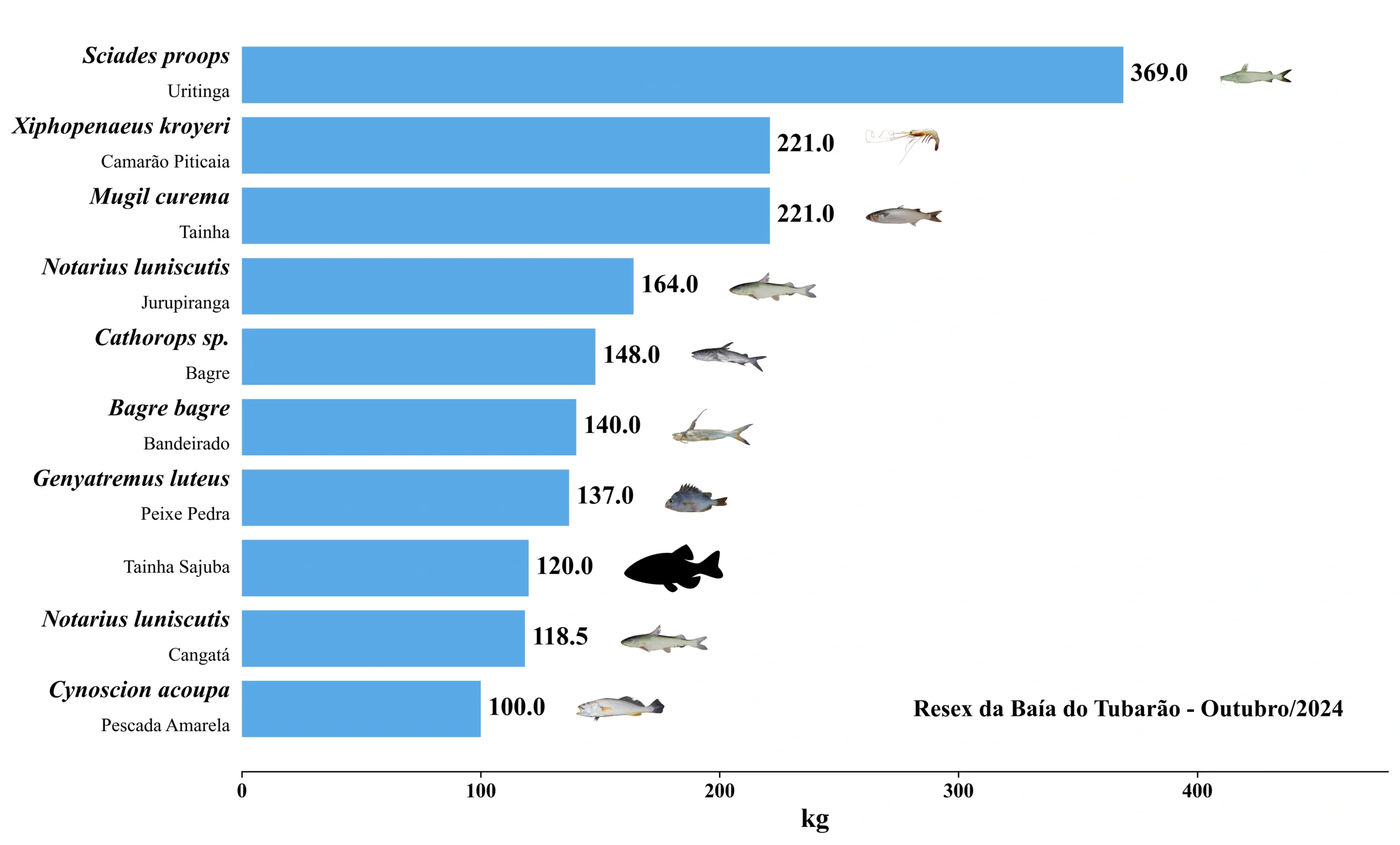 Grafico Resex Tubarao 2024 10