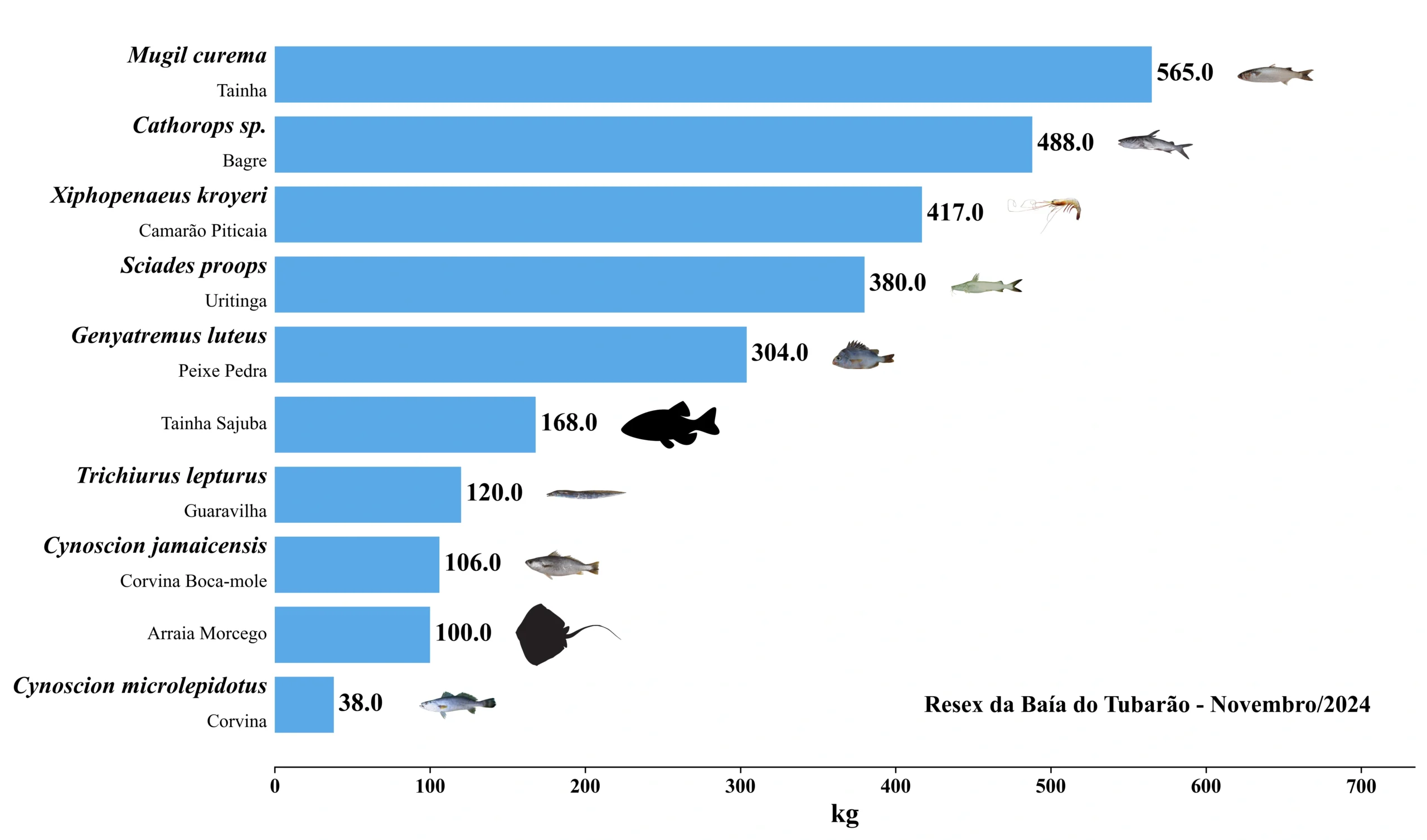 Grafico Resex Tubarao 2024 11