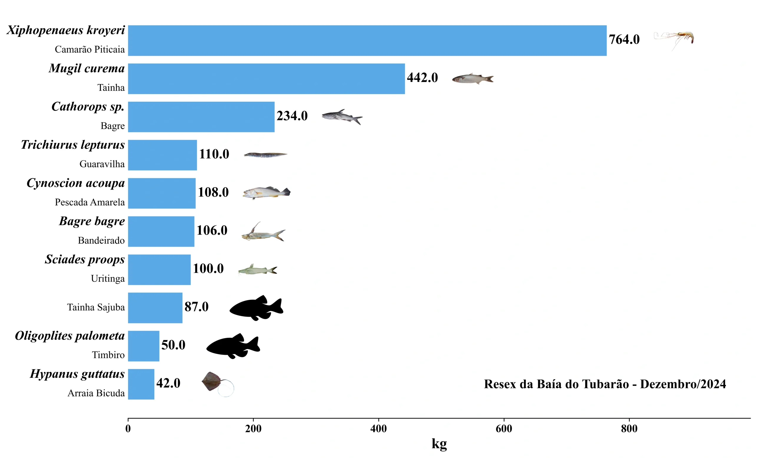 Grafico Resex Tubarao 2024 12