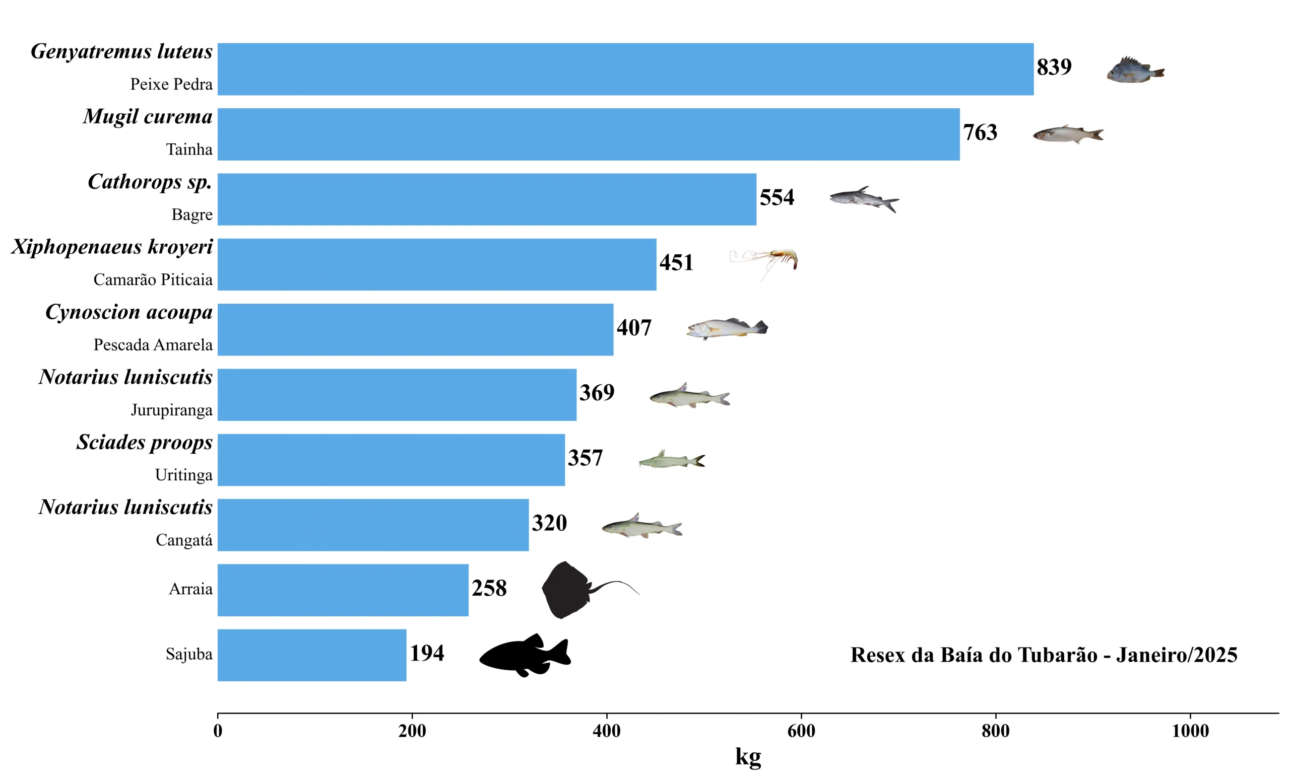 Grafico Resex Tubarao 2025 01
