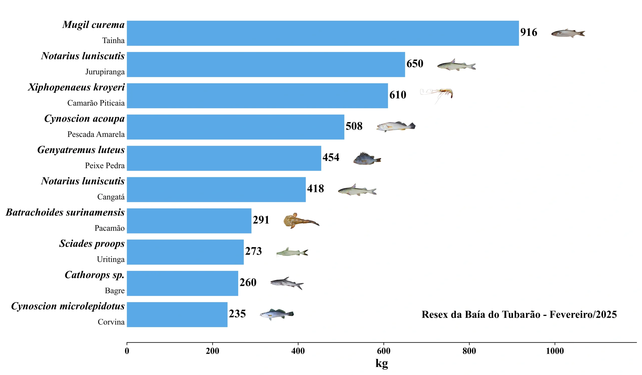 Grafico Resex Tubarao 2025 02