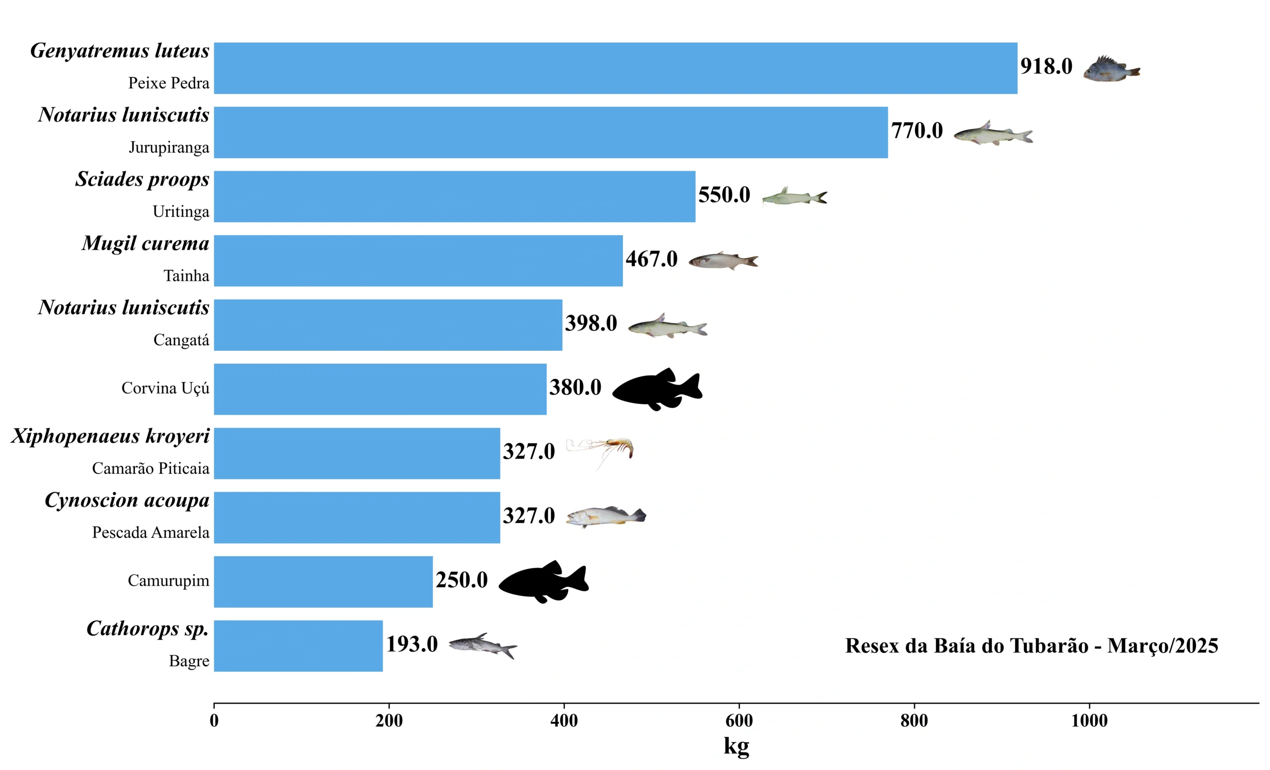 Grafico Resex Tubarao 2025 03