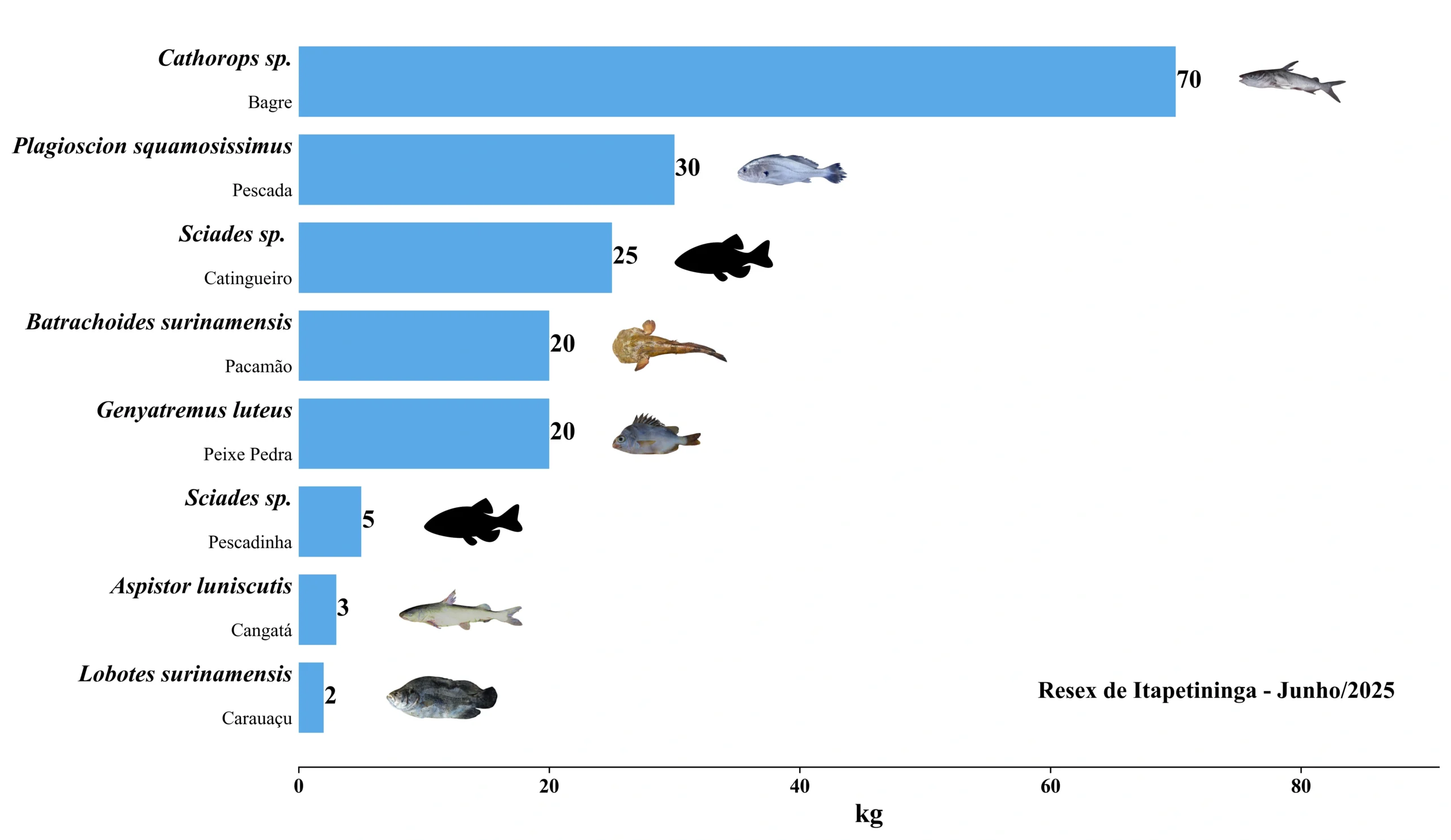 Grafico Itapetininga 2025 06